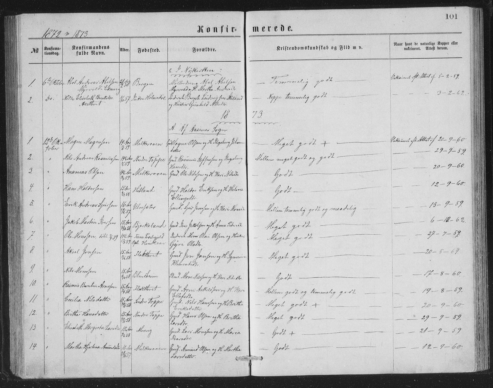 Åsane sokneprestembete, SAB/A-79401/H/Hab: Parish register (copy) no. A 1, 1870-1884, p. 101