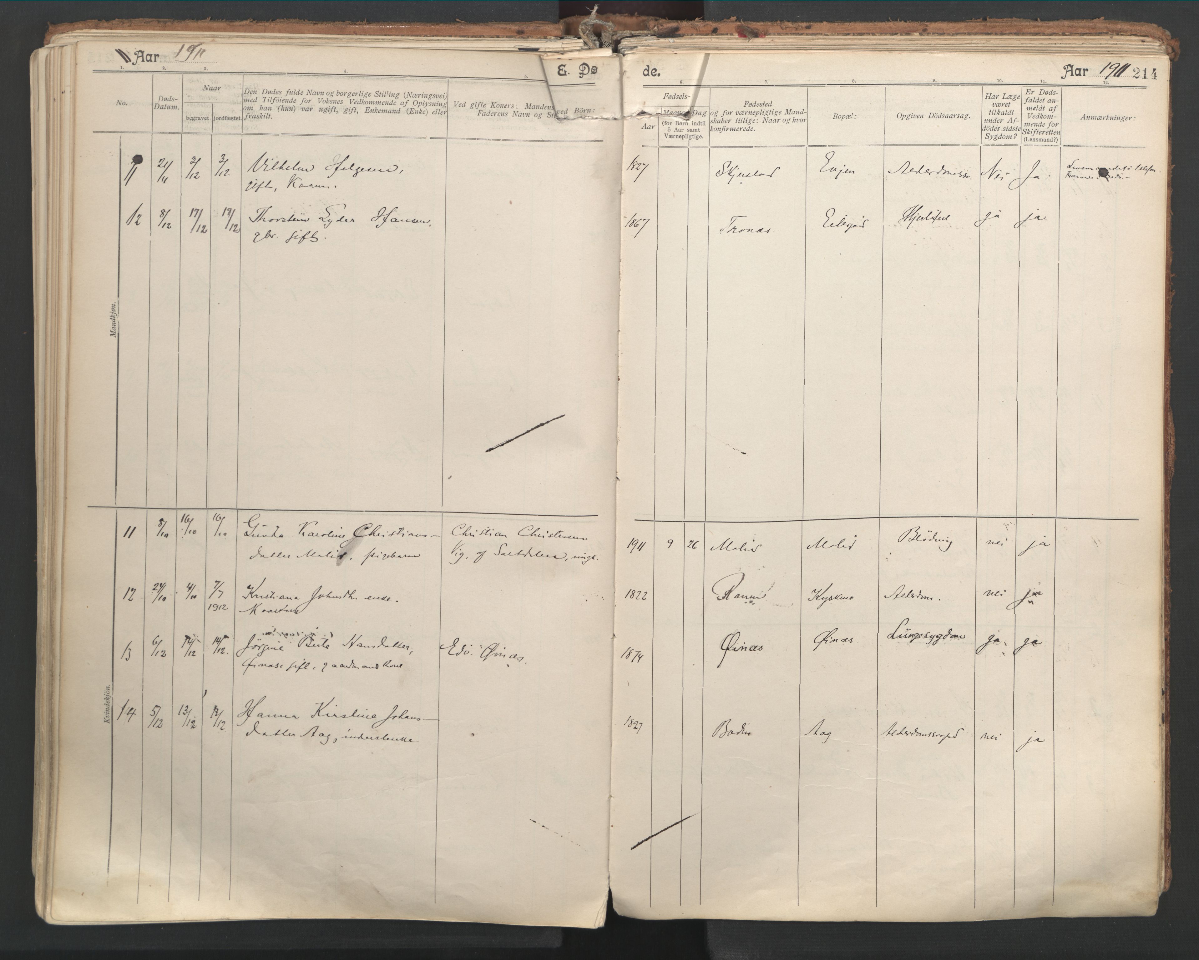 Ministerialprotokoller, klokkerbøker og fødselsregistre - Nordland, SAT/A-1459/846/L0647: Parish register (official) no. 846A05, 1902-1915, p. 214