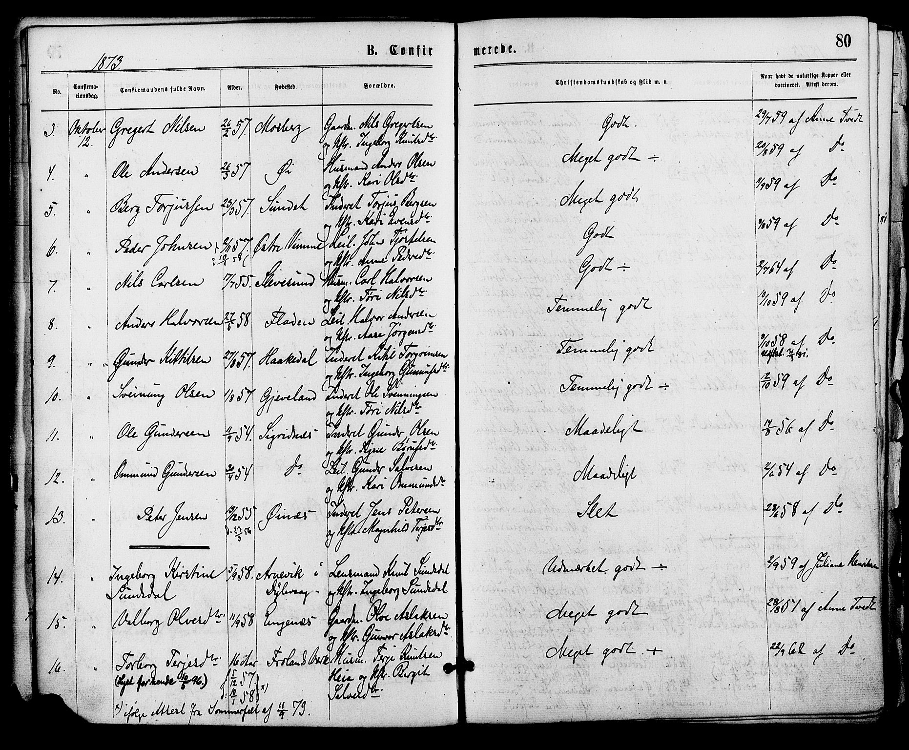 Åmli sokneprestkontor, SAK/1111-0050/F/Fa/Fac/L0009: Parish register (official) no. A 9 /1, 1869-1884, p. 80