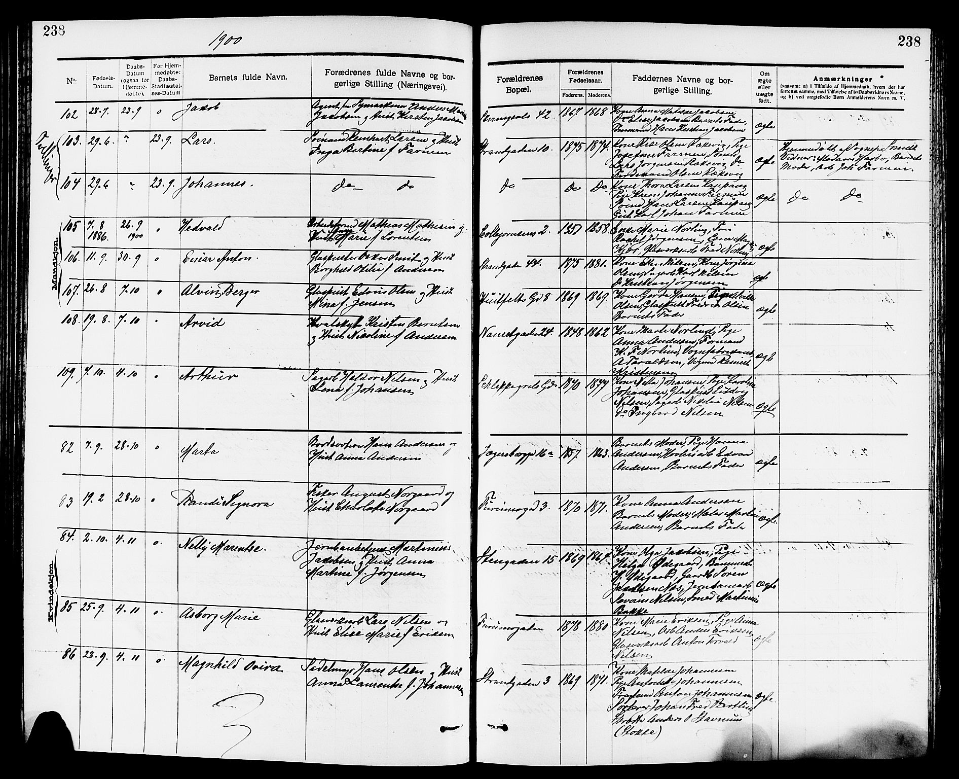 Larvik kirkebøker, SAKO/A-352/G/Ga/L0005: Parish register (copy) no. I 5, 1888-1909, p. 238