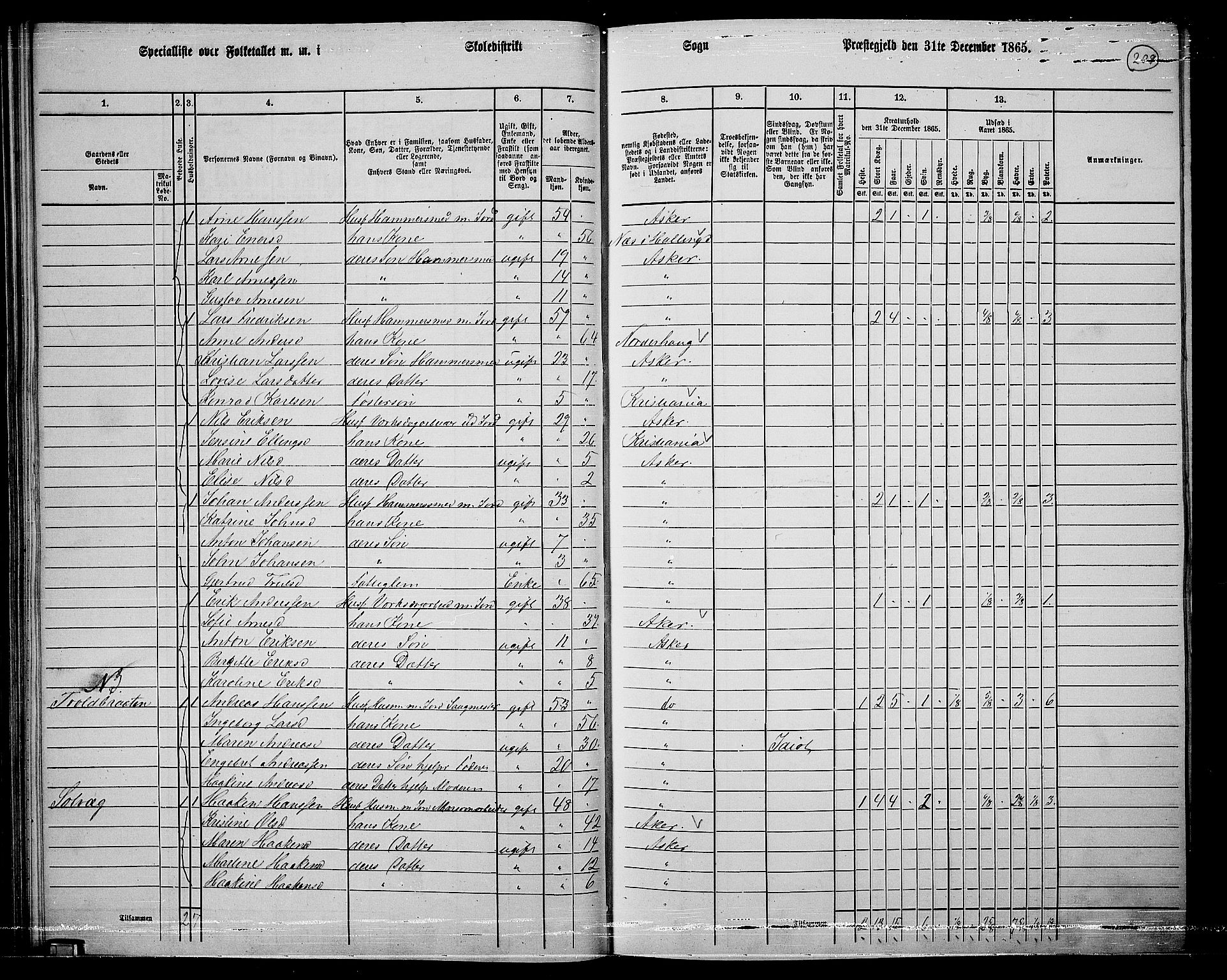 RA, 1865 census for Asker, 1865, p. 201