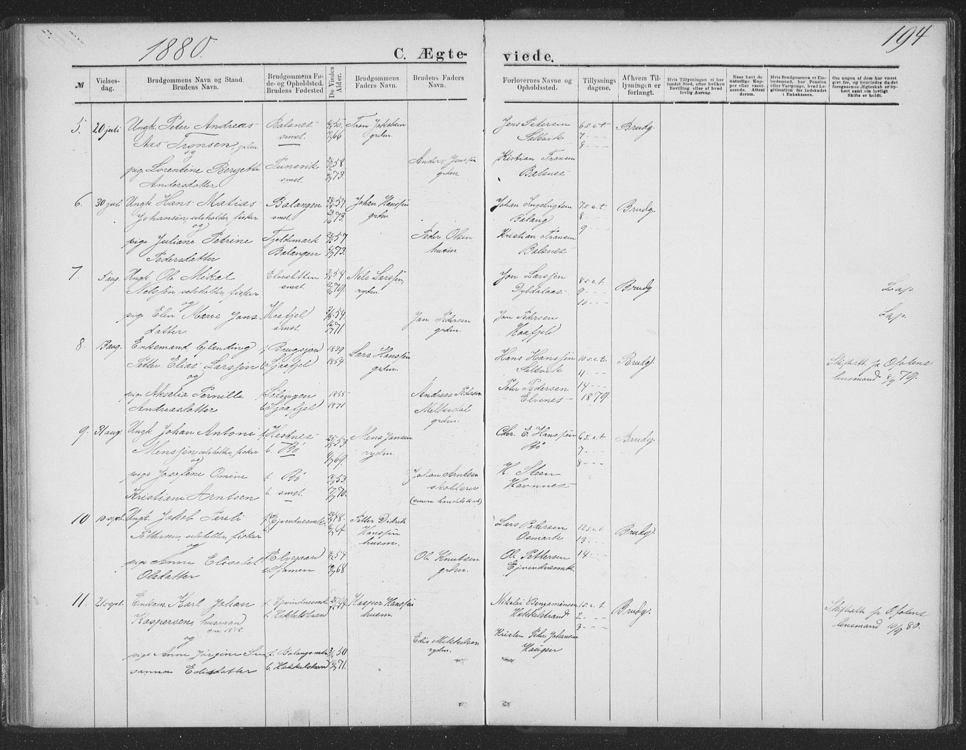 Ministerialprotokoller, klokkerbøker og fødselsregistre - Nordland, AV/SAT-A-1459/863/L0913: Parish register (copy) no. 863C03, 1877-1885, p. 194