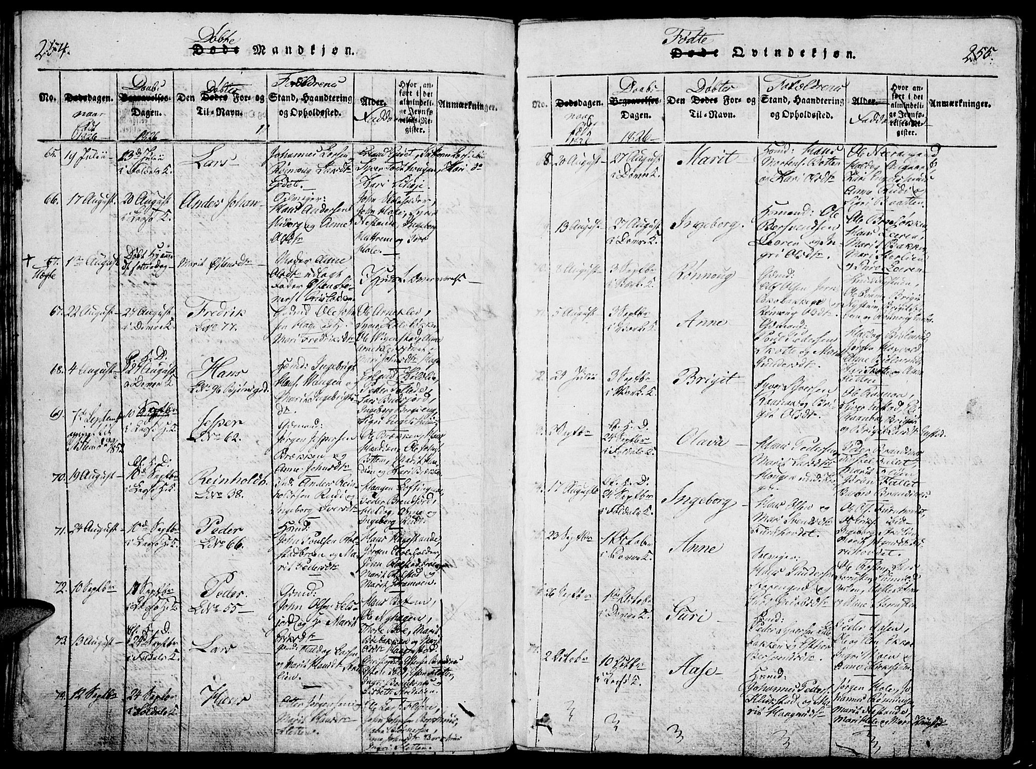 Lesja prestekontor, SAH/PREST-068/H/Ha/Haa/L0004: Parish register (official) no. 4, 1820-1829, p. 254-255