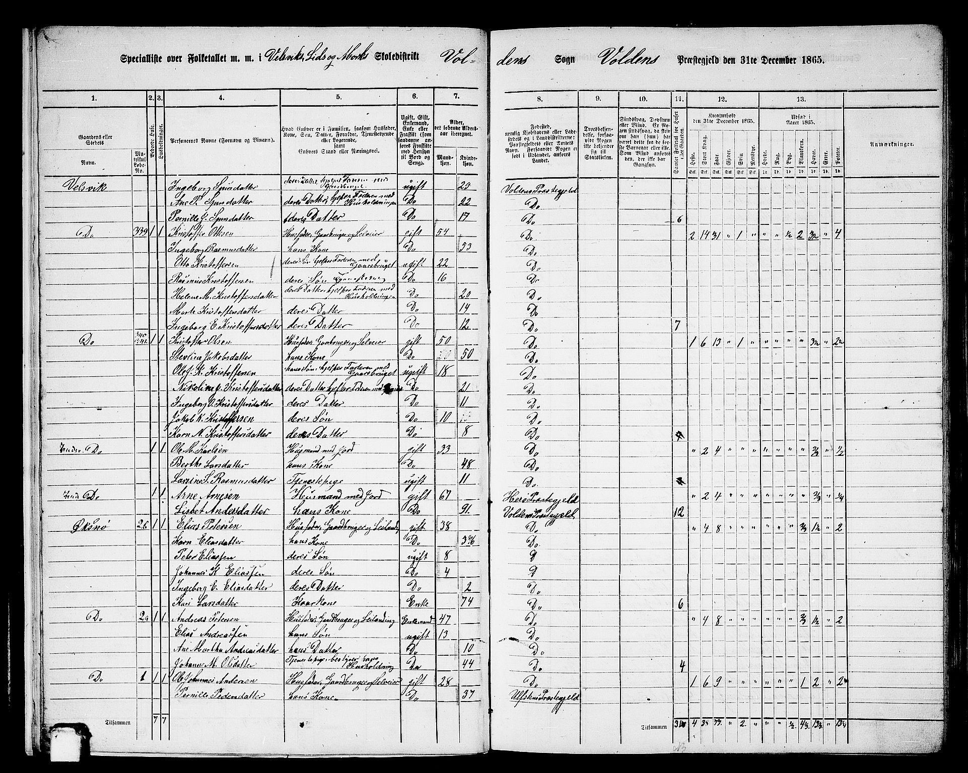 RA, 1865 census for Volda, 1865, p. 15