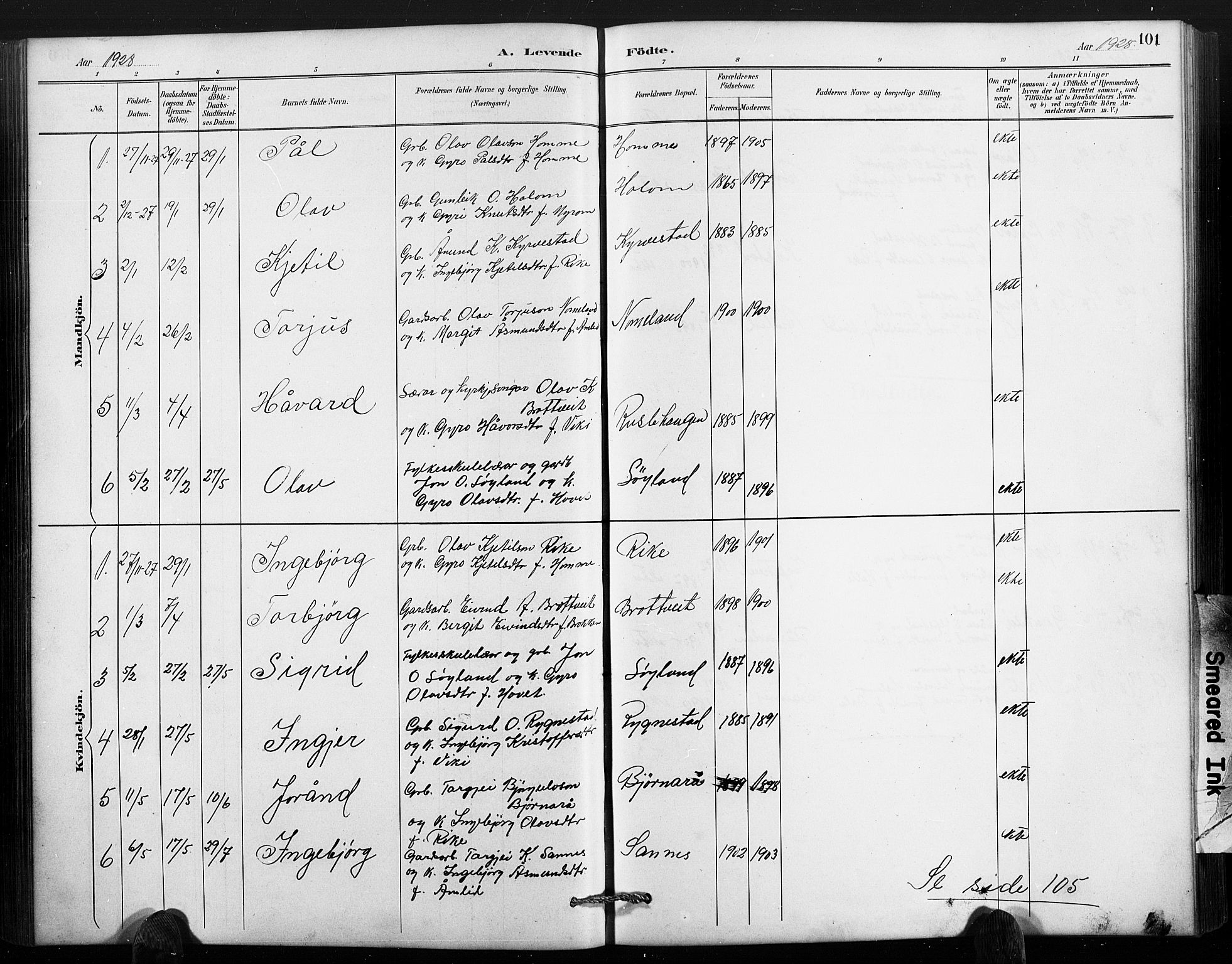 Valle sokneprestkontor, SAK/1111-0044/F/Fb/Fbc/L0004: Parish register (copy) no. B 4, 1890-1928, p. 101
