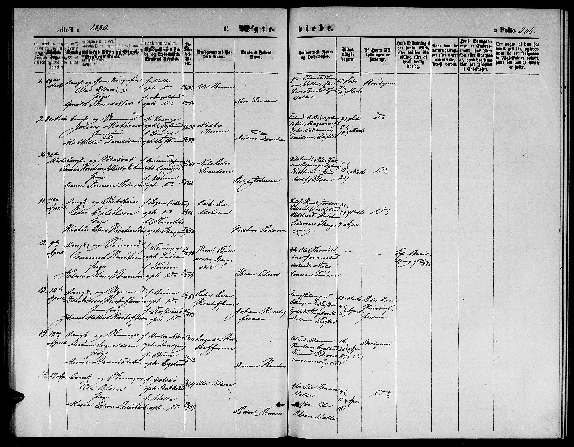 Holt sokneprestkontor, AV/SAK-1111-0021/F/Fb/L0009: Parish register (copy) no. B 9, 1871-1883, p. 206