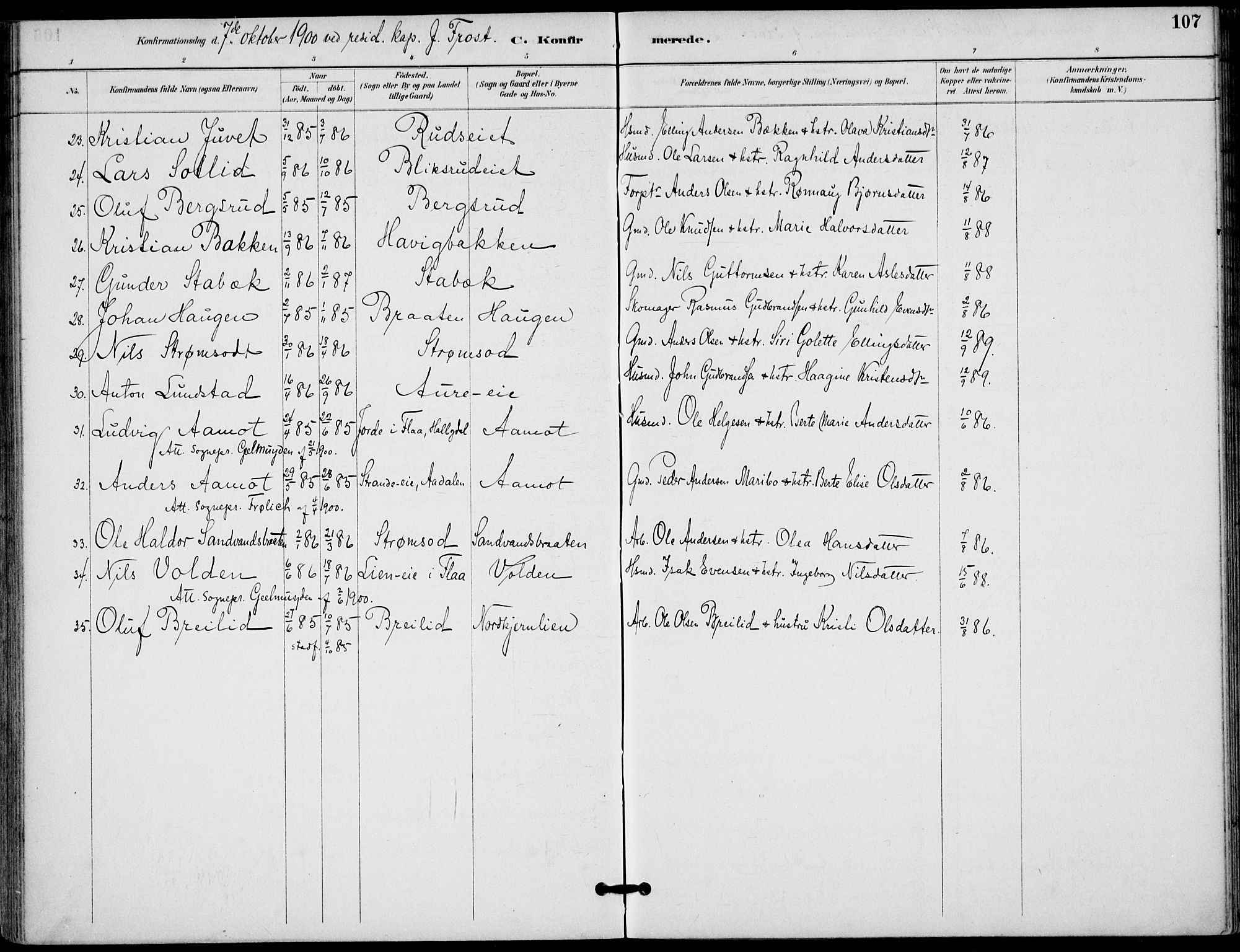 Lunder kirkebøker, SAKO/A-629/F/Fa/L0001: Parish register (official) no. I 1, 1885-1912, p. 107