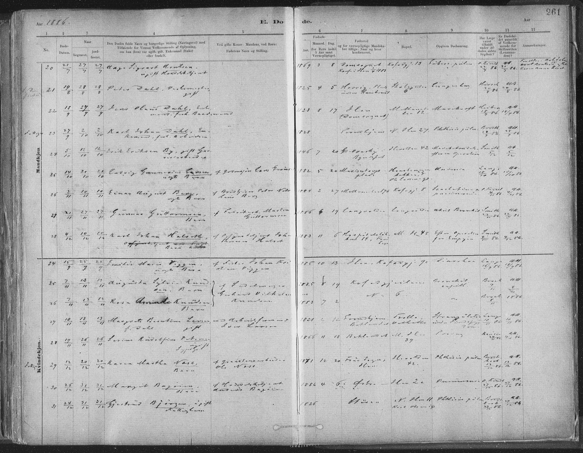 Ministerialprotokoller, klokkerbøker og fødselsregistre - Sør-Trøndelag, SAT/A-1456/603/L0162: Parish register (official) no. 603A01, 1879-1895, p. 261