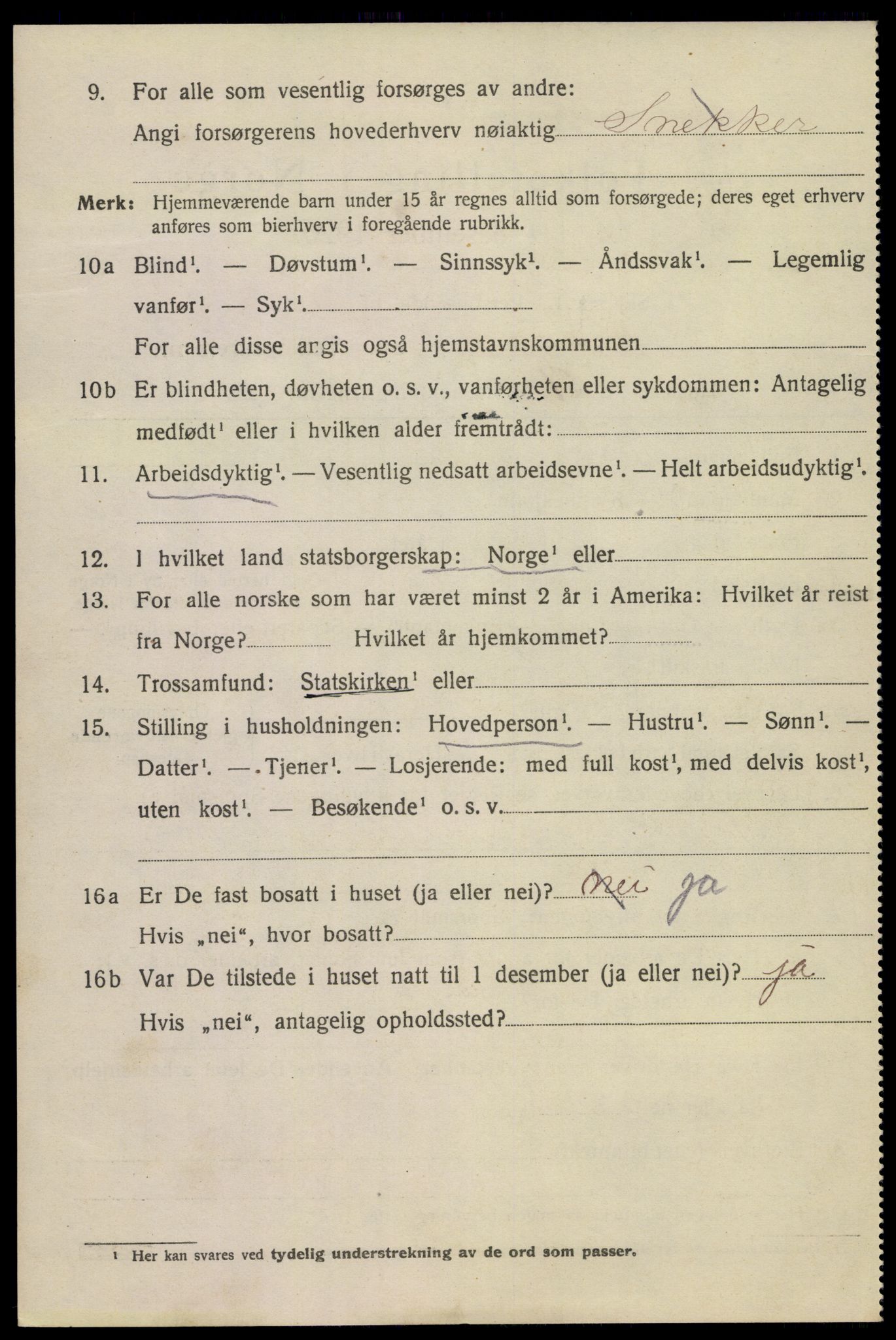 SAKO, 1920 census for Kragerø, 1920, p. 7292