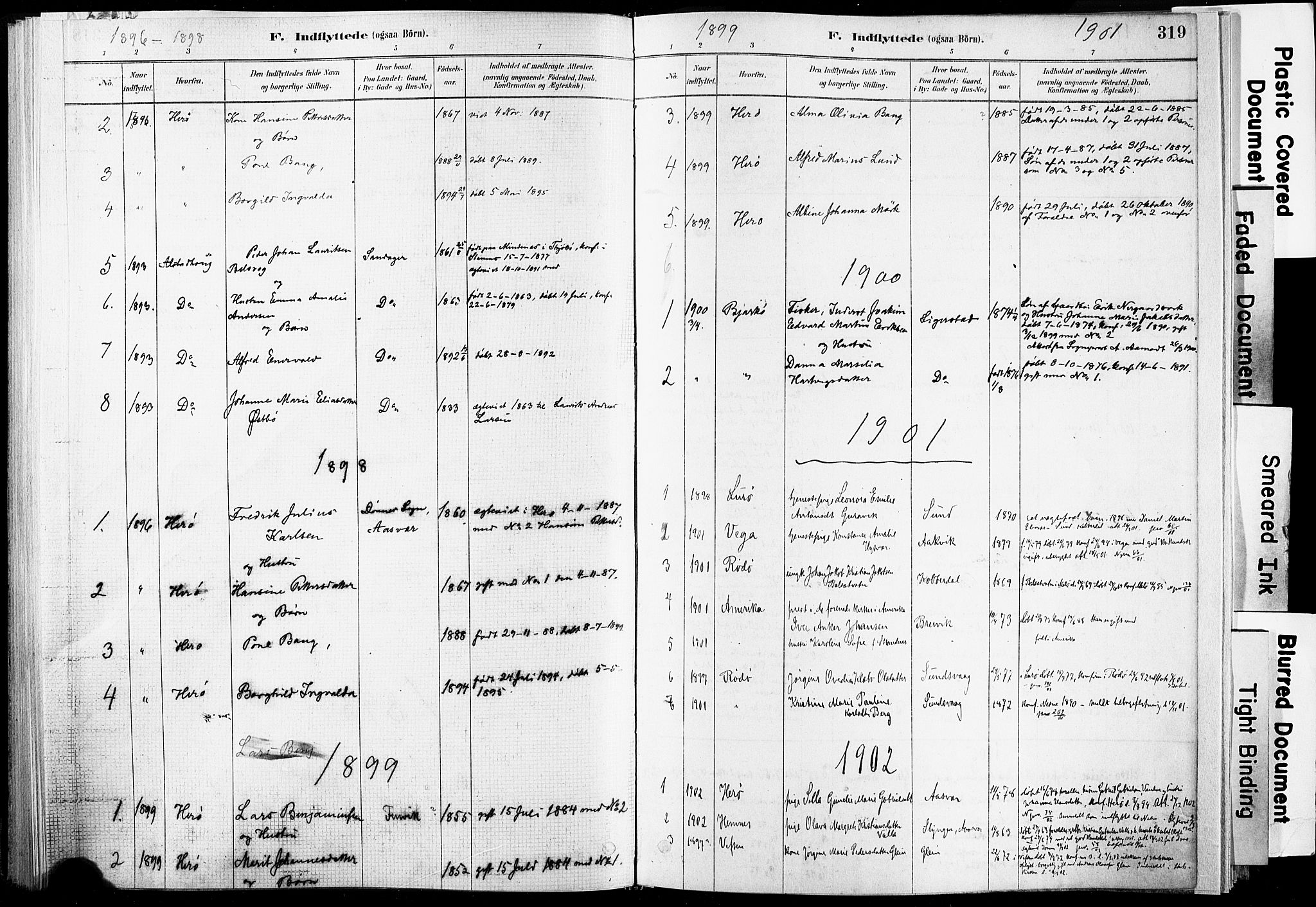 Ministerialprotokoller, klokkerbøker og fødselsregistre - Nordland, AV/SAT-A-1459/835/L0526: Parish register (official) no. 835A03II, 1881-1910, p. 319