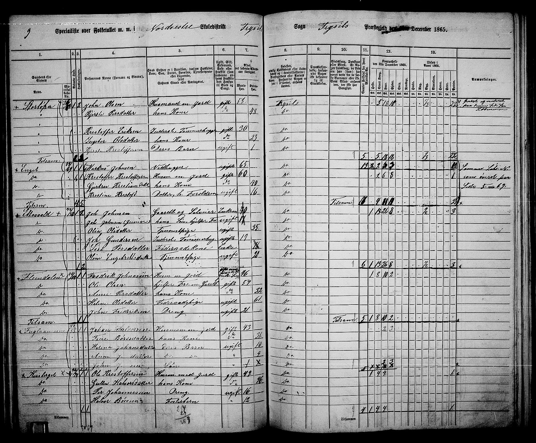 RA, 1865 census for Trysil, 1865, p. 66
