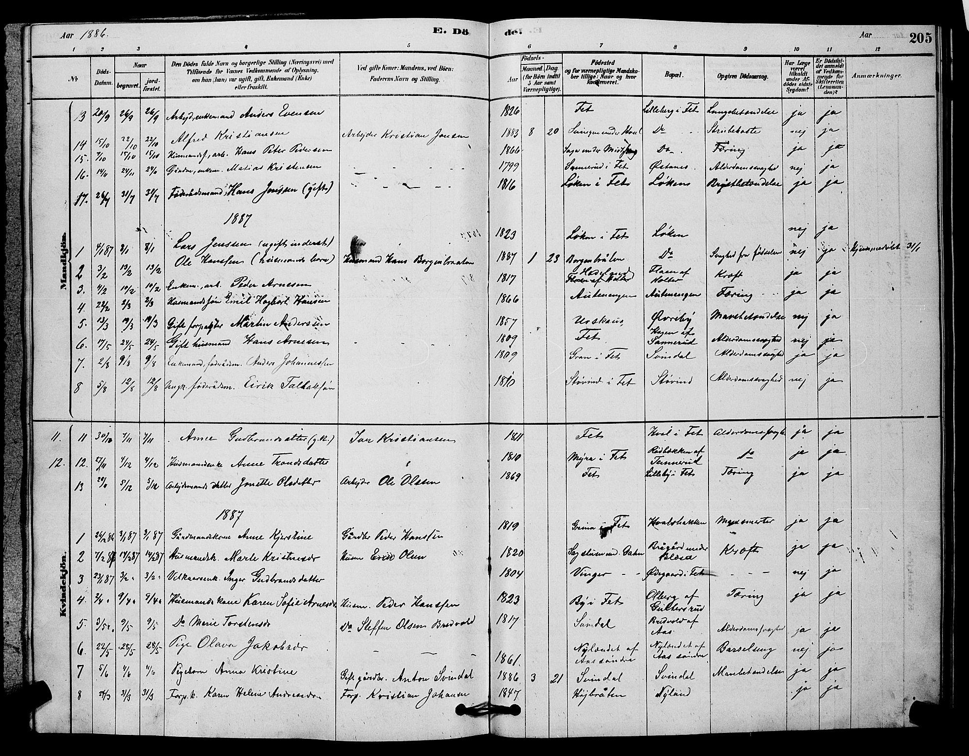 Fet prestekontor Kirkebøker, AV/SAO-A-10370a/G/Ga/L0006: Parish register (copy) no. I 6, 1878-1891, p. 205