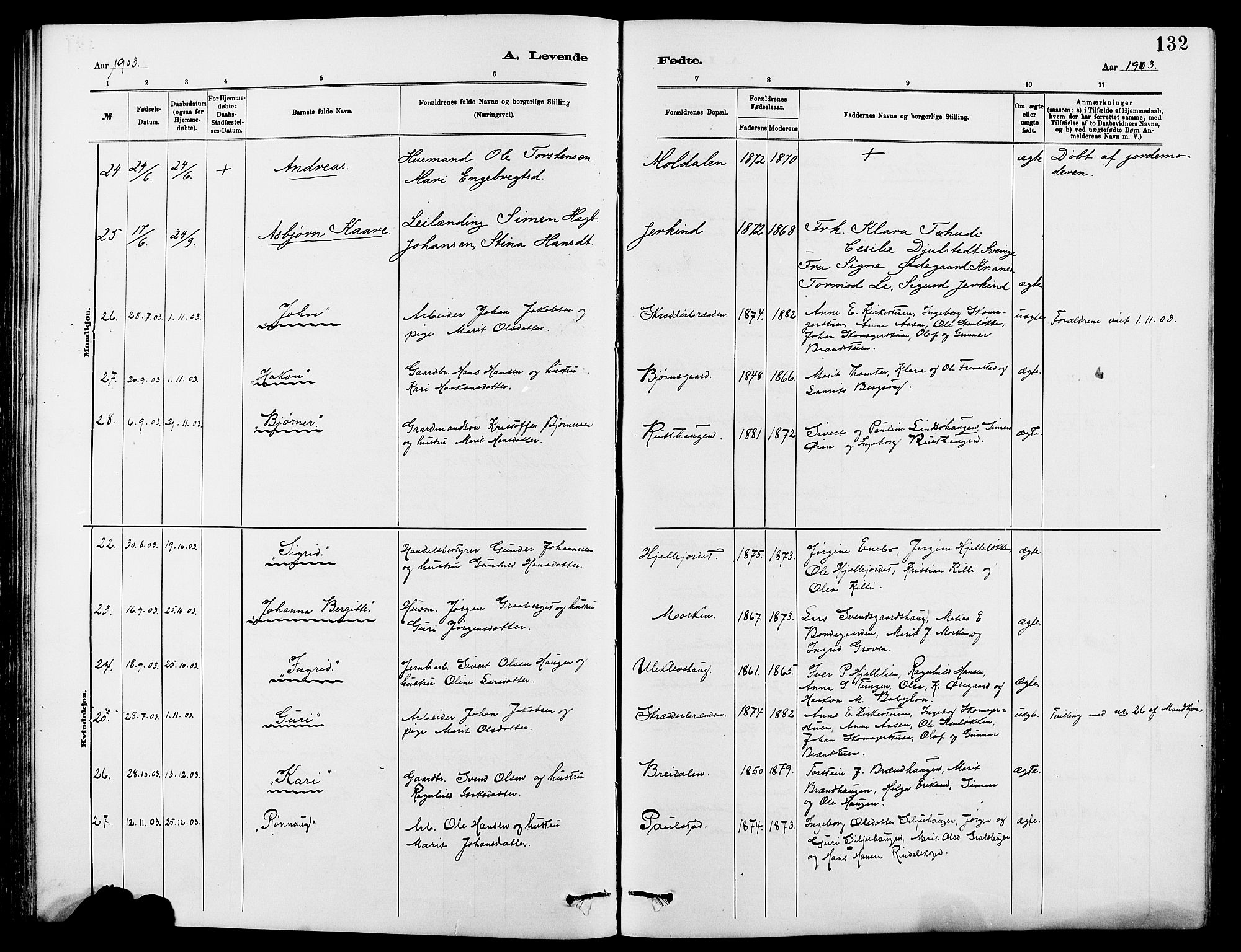 Dovre prestekontor, AV/SAH-PREST-066/H/Ha/Hab/L0002: Parish register (copy) no. 2, 1881-1907, p. 132