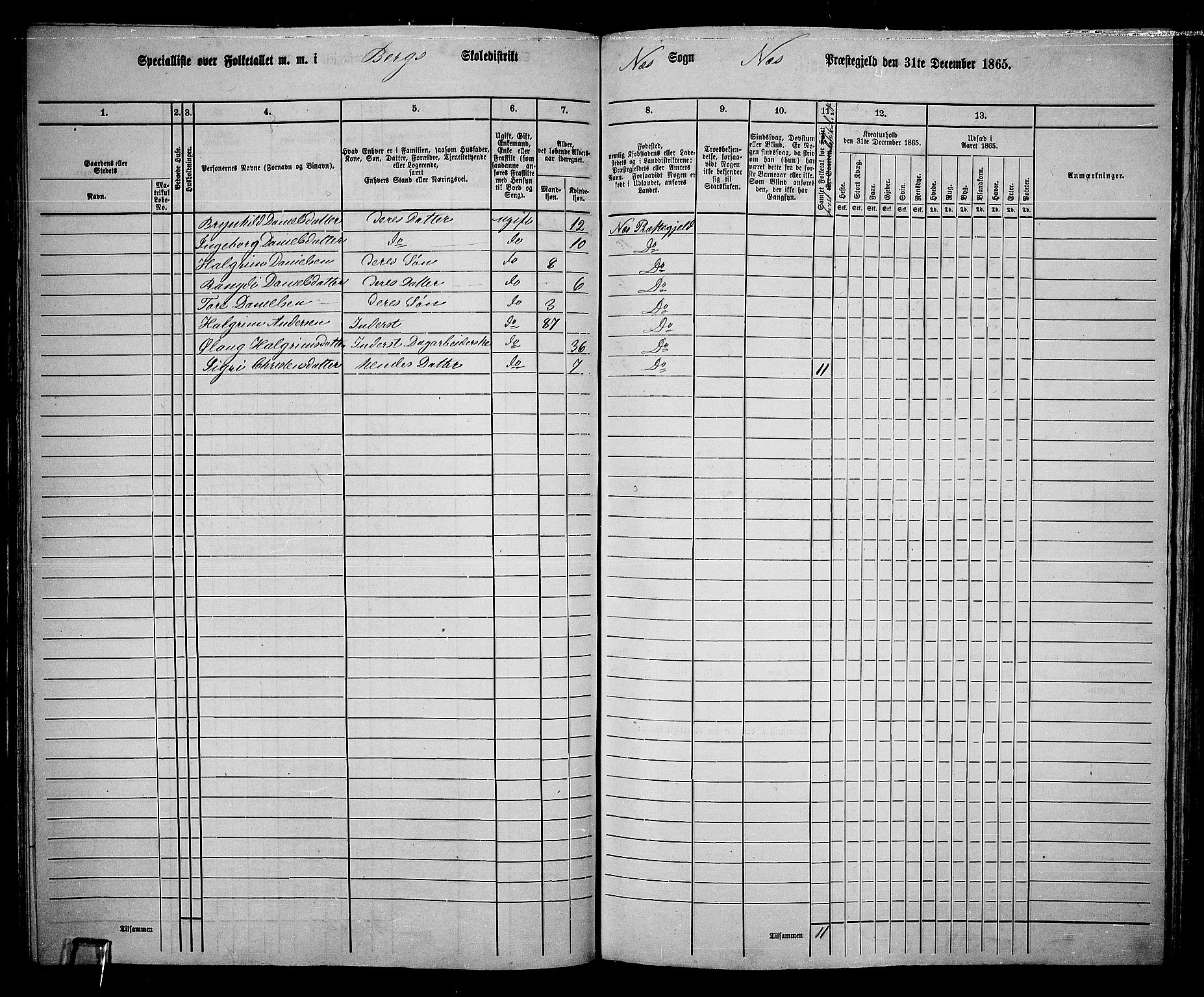 RA, 1865 census for Nes, 1865, p. 102