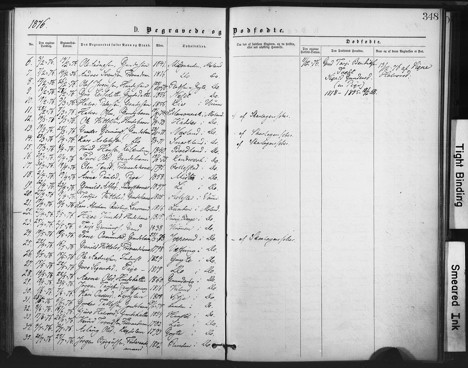 Fyresdal kirkebøker, SAKO/A-263/F/Fa/L0006: Parish register (official) no. I 6, 1872-1886, p. 348