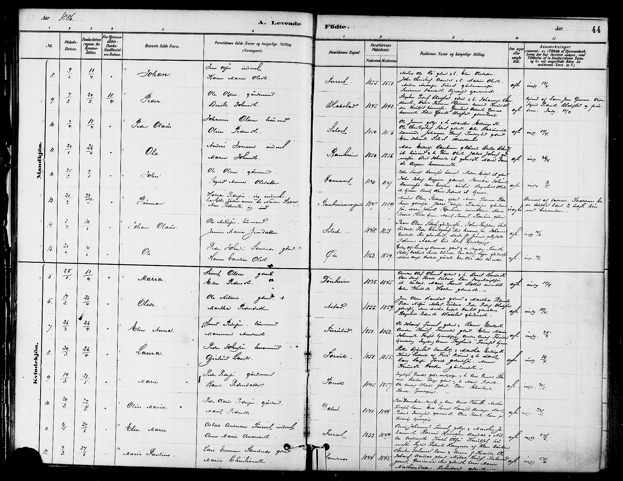 Ministerialprotokoller, klokkerbøker og fødselsregistre - Møre og Romsdal, AV/SAT-A-1454/584/L0967: Parish register (official) no. 584A07, 1879-1894, p. 44