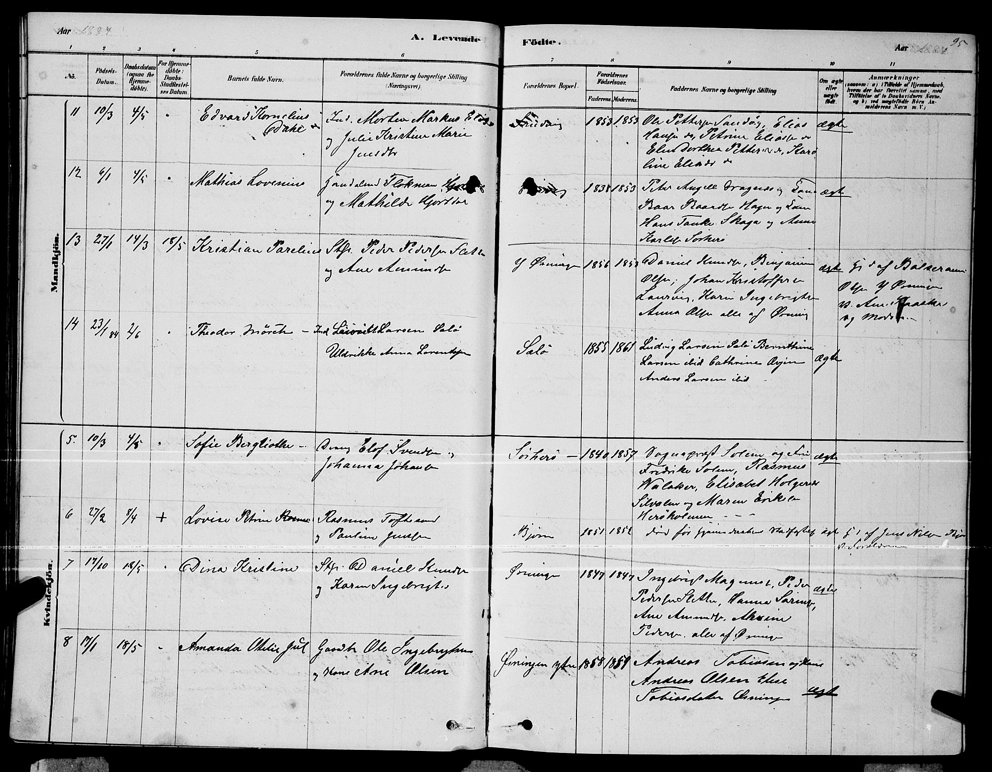 Ministerialprotokoller, klokkerbøker og fødselsregistre - Nordland, AV/SAT-A-1459/834/L0513: Parish register (copy) no. 834C04, 1877-1892, p. 95