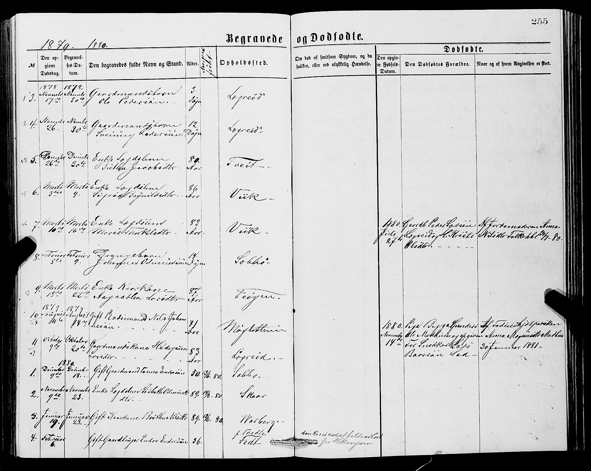 Ullensvang sokneprestembete, SAB/A-78701/H/Hab: Parish register (copy) no. C 2, 1871-1899, p. 255