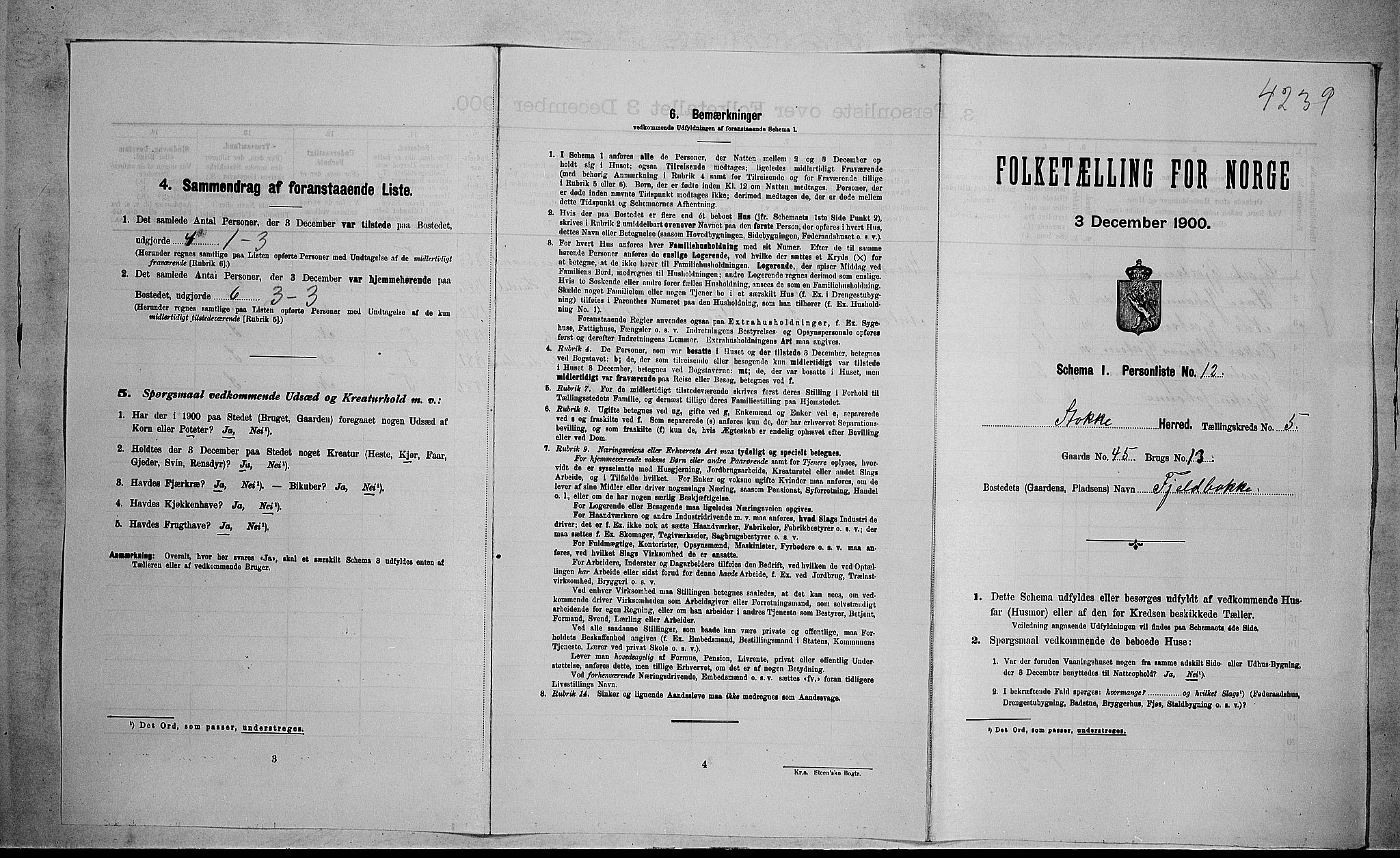 RA, 1900 census for Stokke, 1900, p. 1002