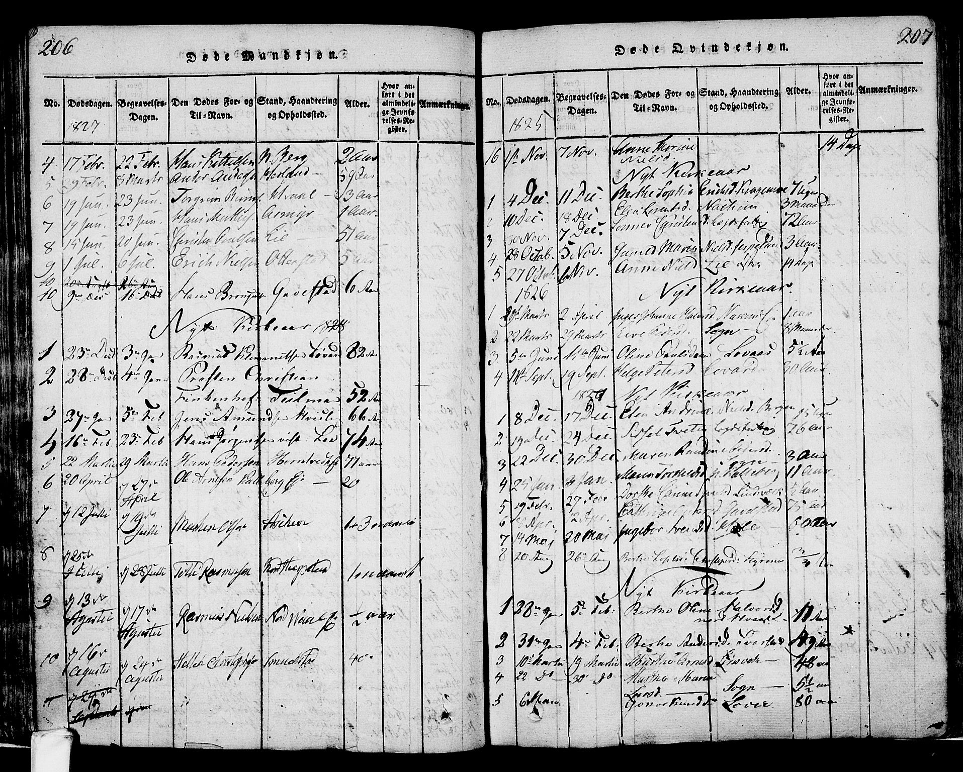 Lardal kirkebøker, AV/SAKO-A-350/F/Fa/L0005: Parish register (official) no. I 5, 1814-1835, p. 206-207