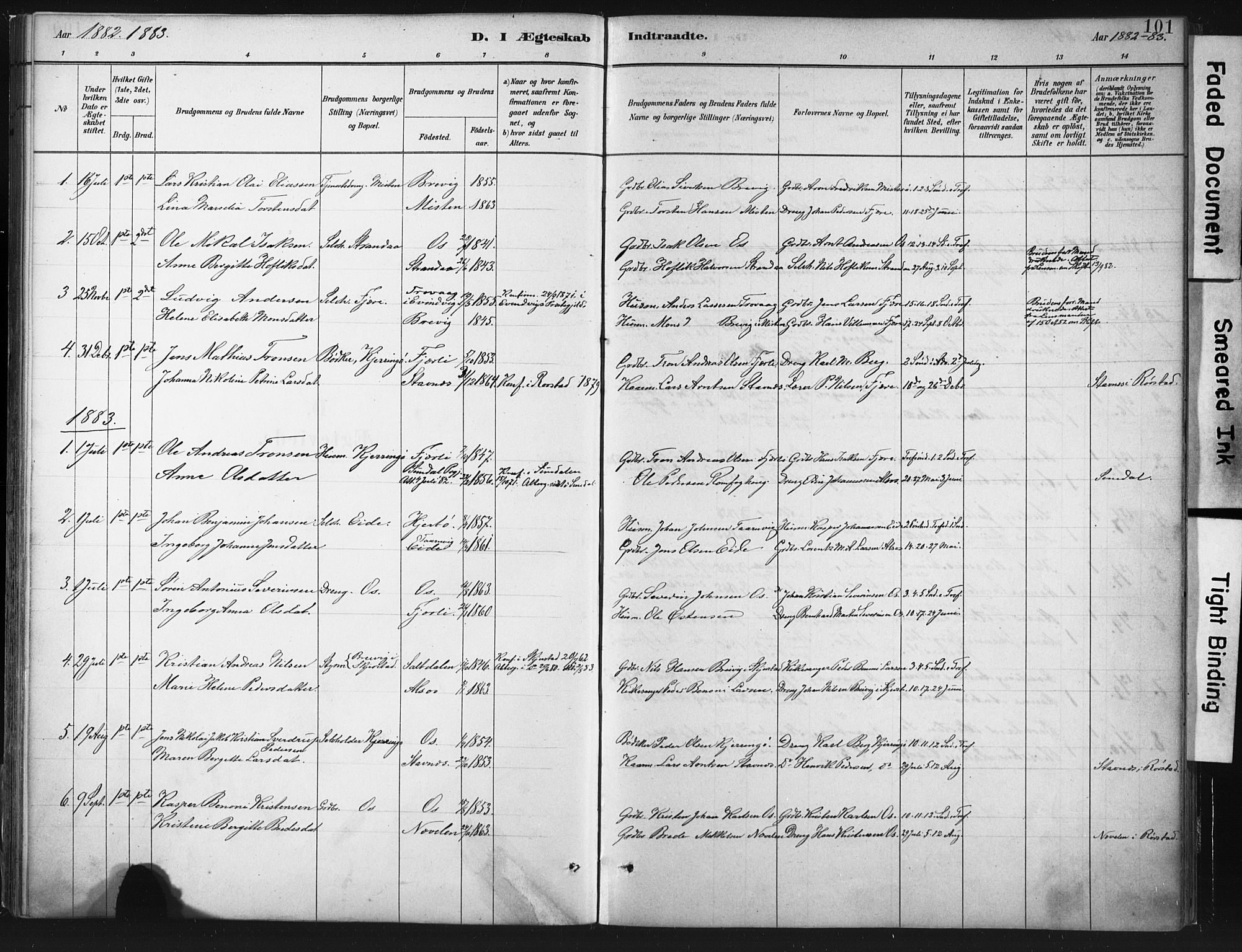 Ministerialprotokoller, klokkerbøker og fødselsregistre - Nordland, AV/SAT-A-1459/803/L0071: Parish register (official) no. 803A01, 1881-1897, p. 101