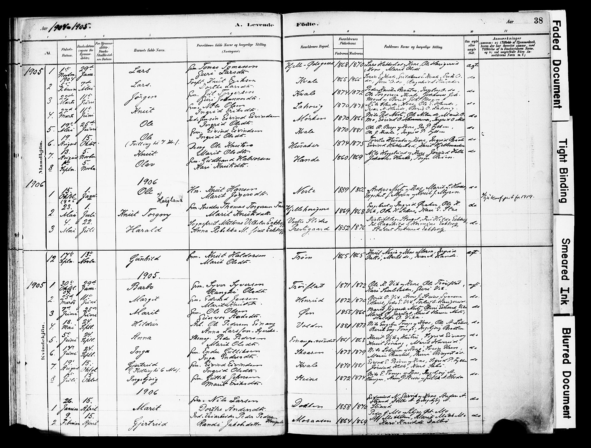 Vestre Slidre prestekontor, AV/SAH-PREST-136/H/Ha/Haa/L0004: Parish register (official) no. 4, 1881-1911, p. 38