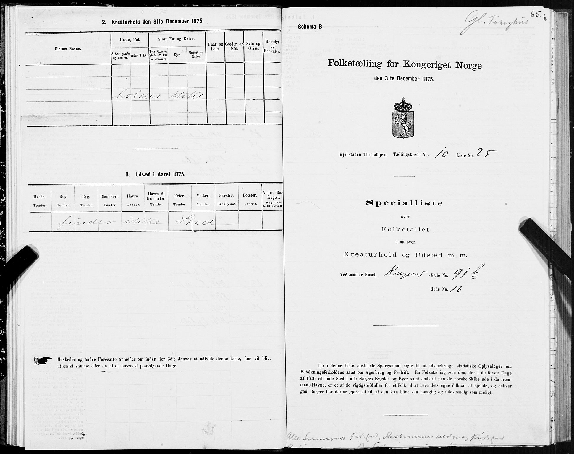 SAT, 1875 census for 1601 Trondheim, 1875, p. 6065