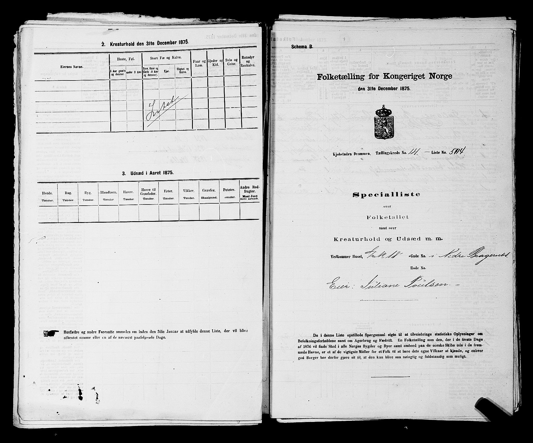 SAKO, 1875 census for 0602 Drammen, 1875, p. 1558