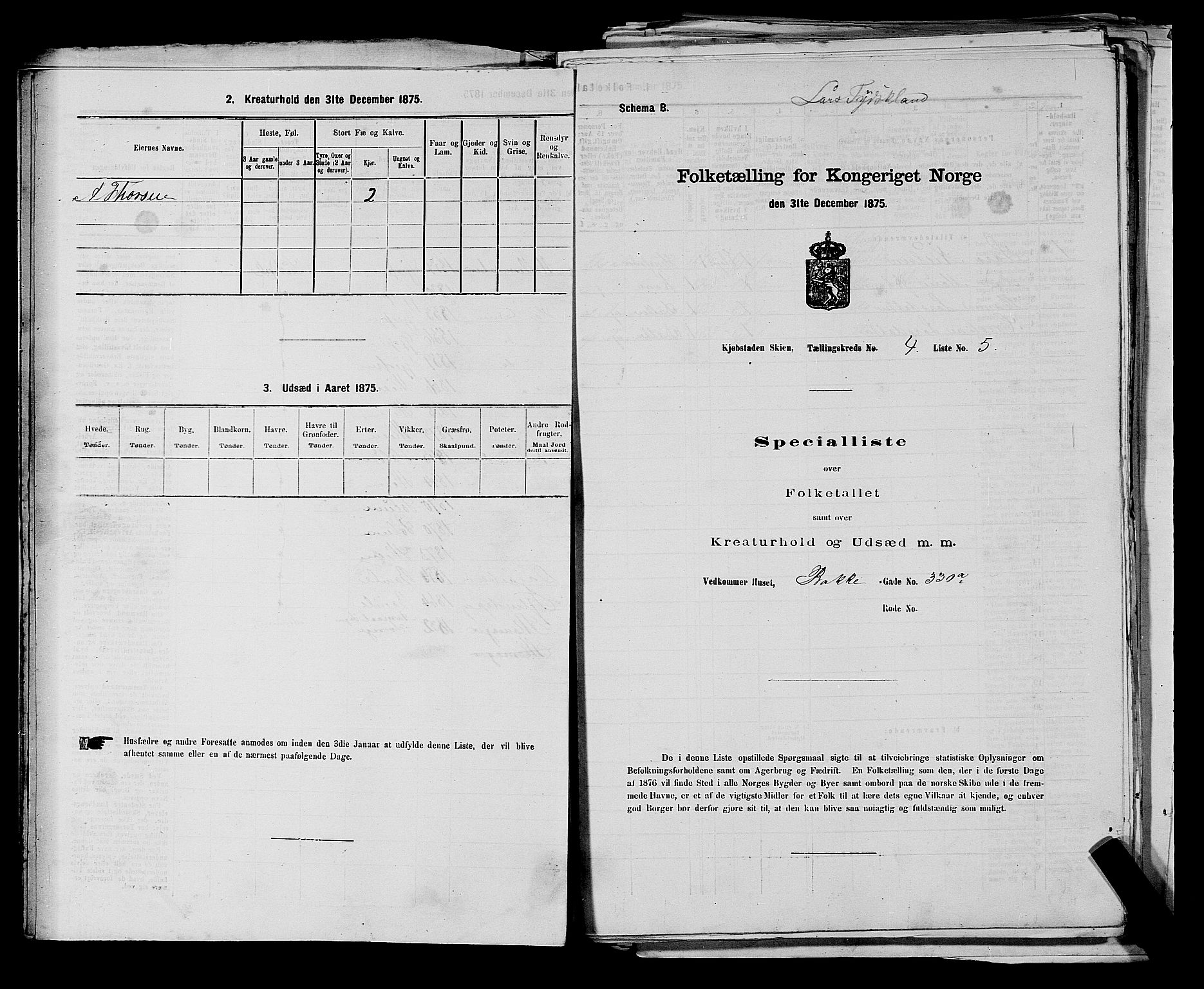 SAKO, 1875 census for 0806P Skien, 1875, p. 694