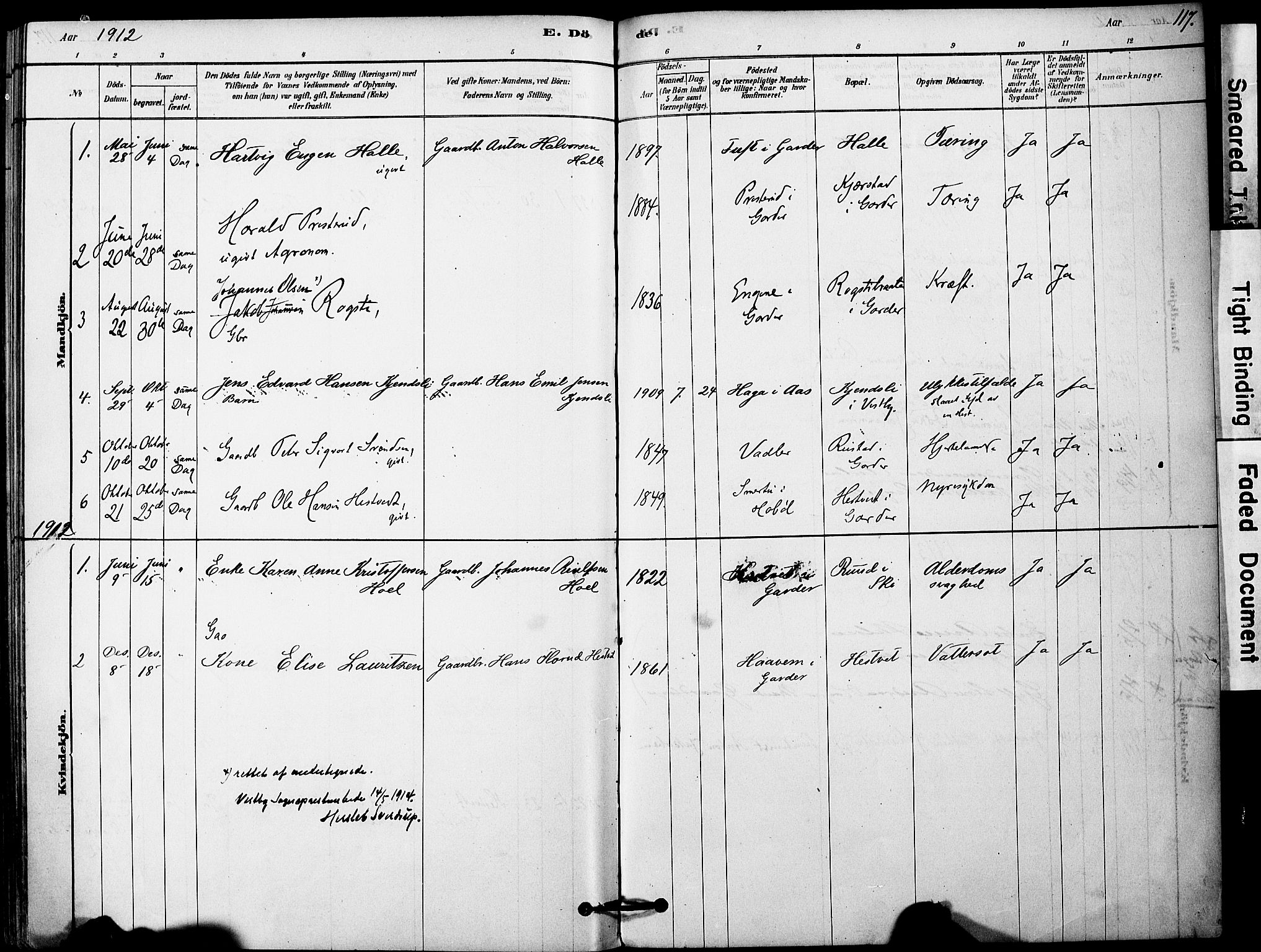 Vestby prestekontor Kirkebøker, SAO/A-10893/F/Fa/L0011: Parish register (official) no. I 11, 1878-1913, p. 117