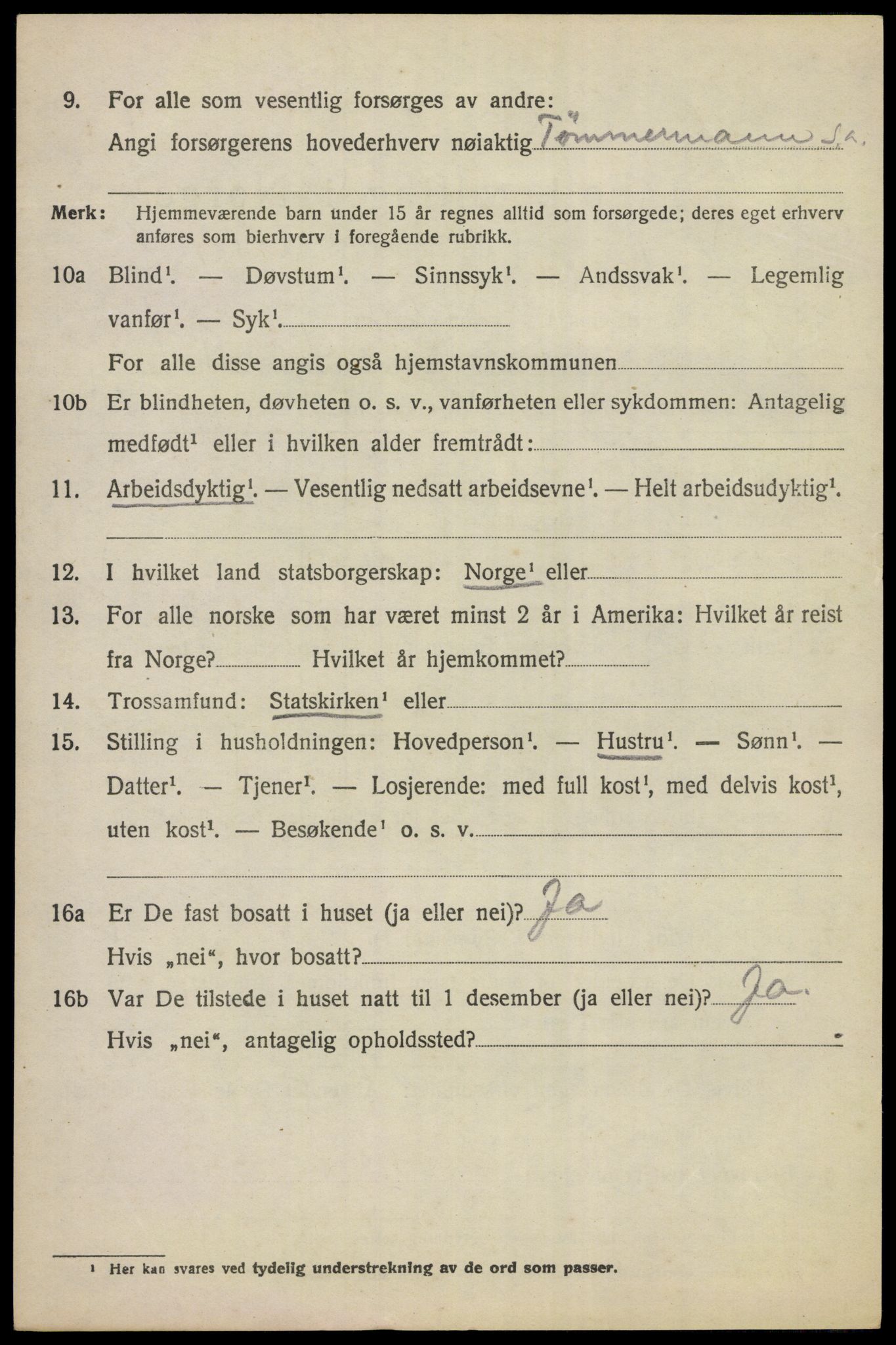 SAKO, 1920 census for Norderhov, 1920, p. 17797