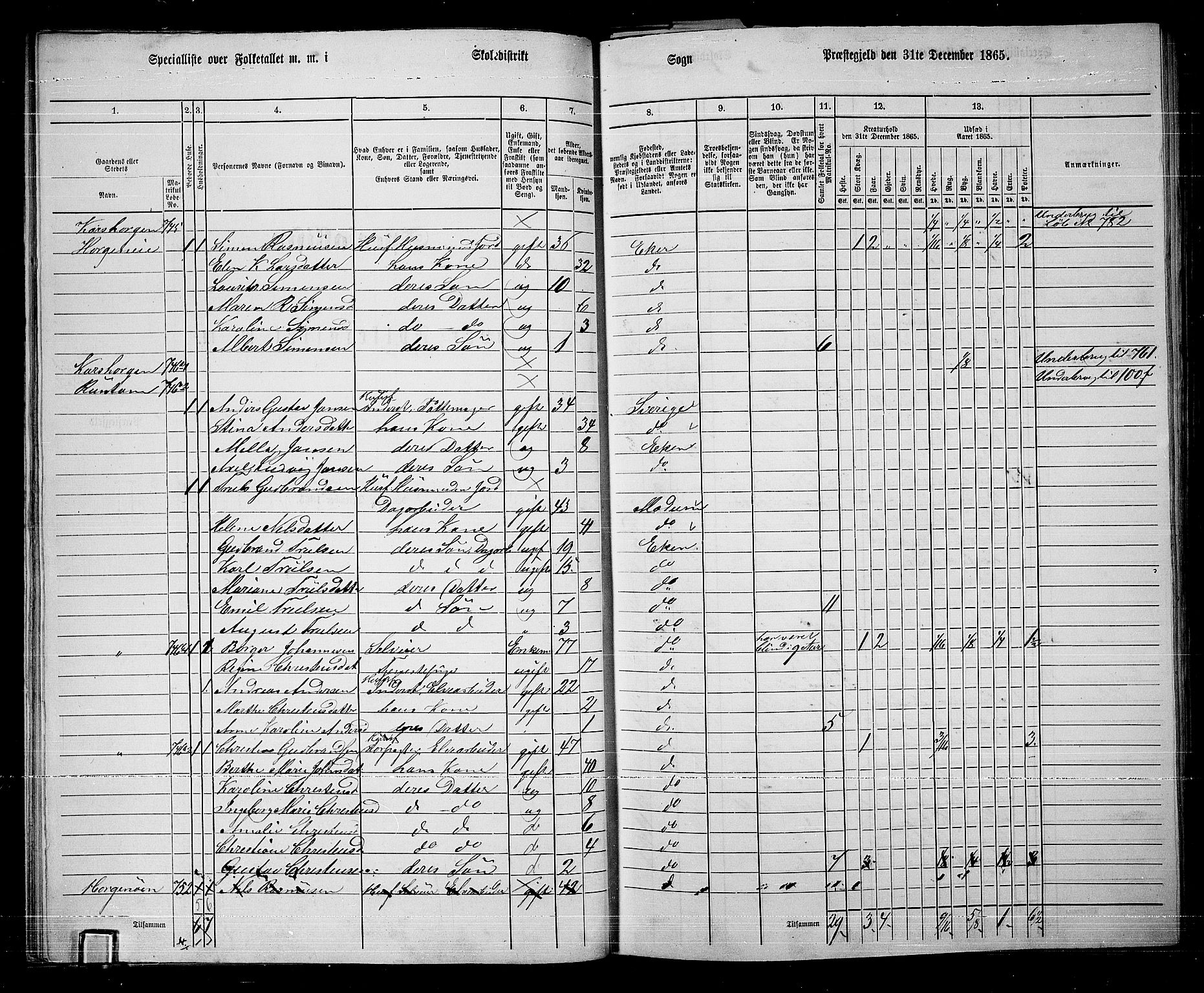 RA, 1865 census for Eiker, 1865, p. 314