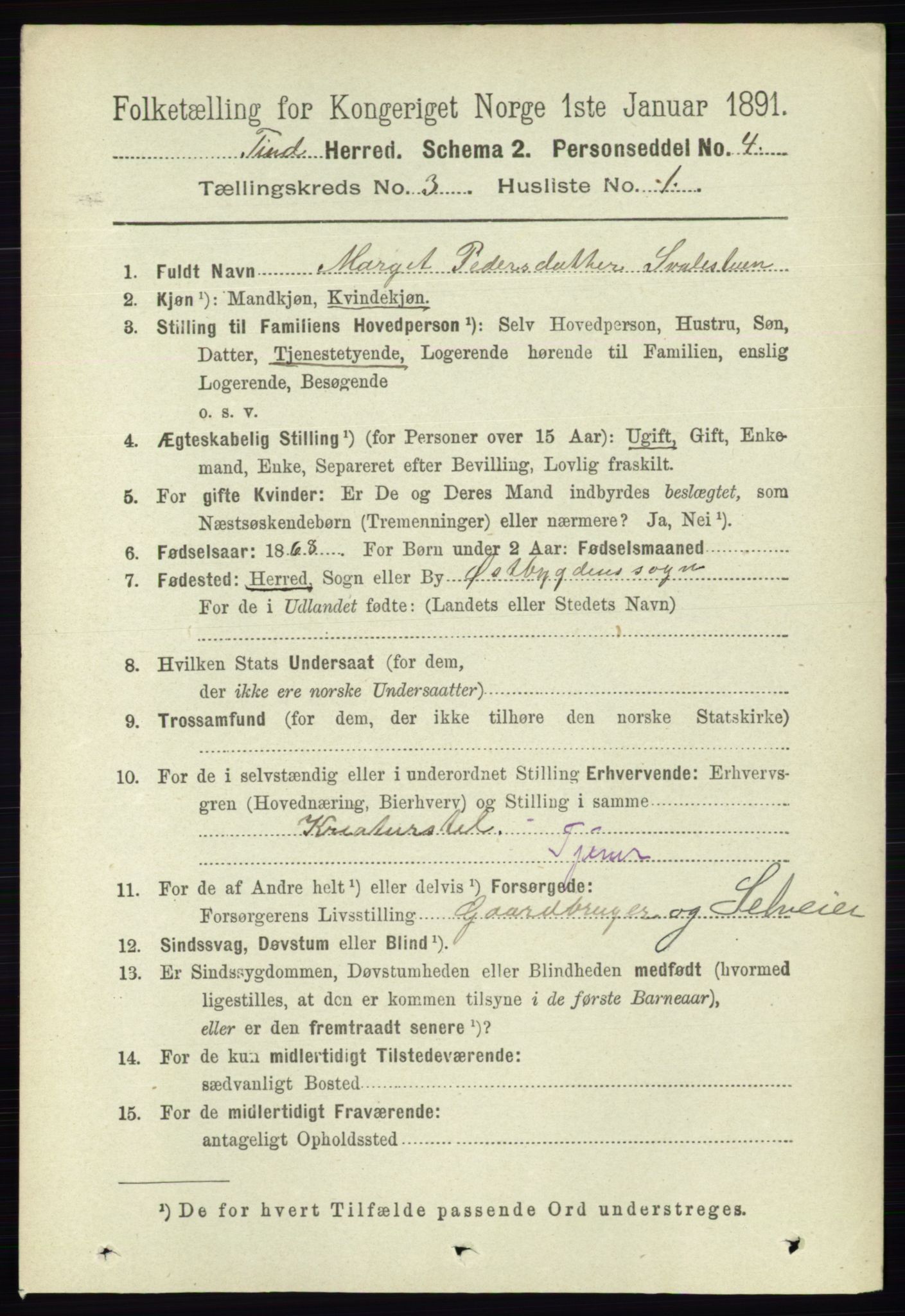 RA, 1891 census for 0826 Tinn, 1891, p. 507