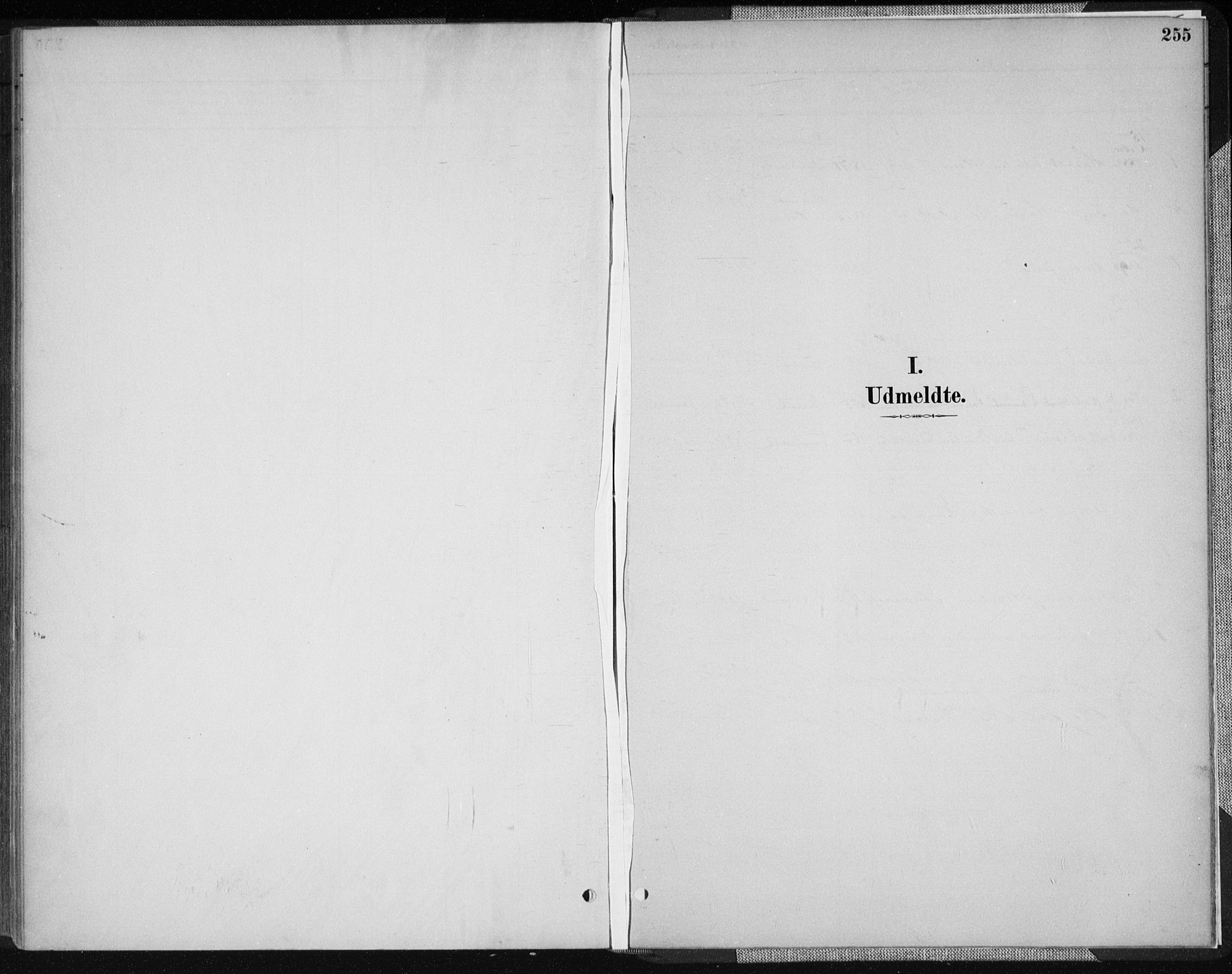 Vennesla sokneprestkontor, SAK/1111-0045/Fa/Fab/L0004: Parish register (official) no. A 4, 1884-1896, p. 255