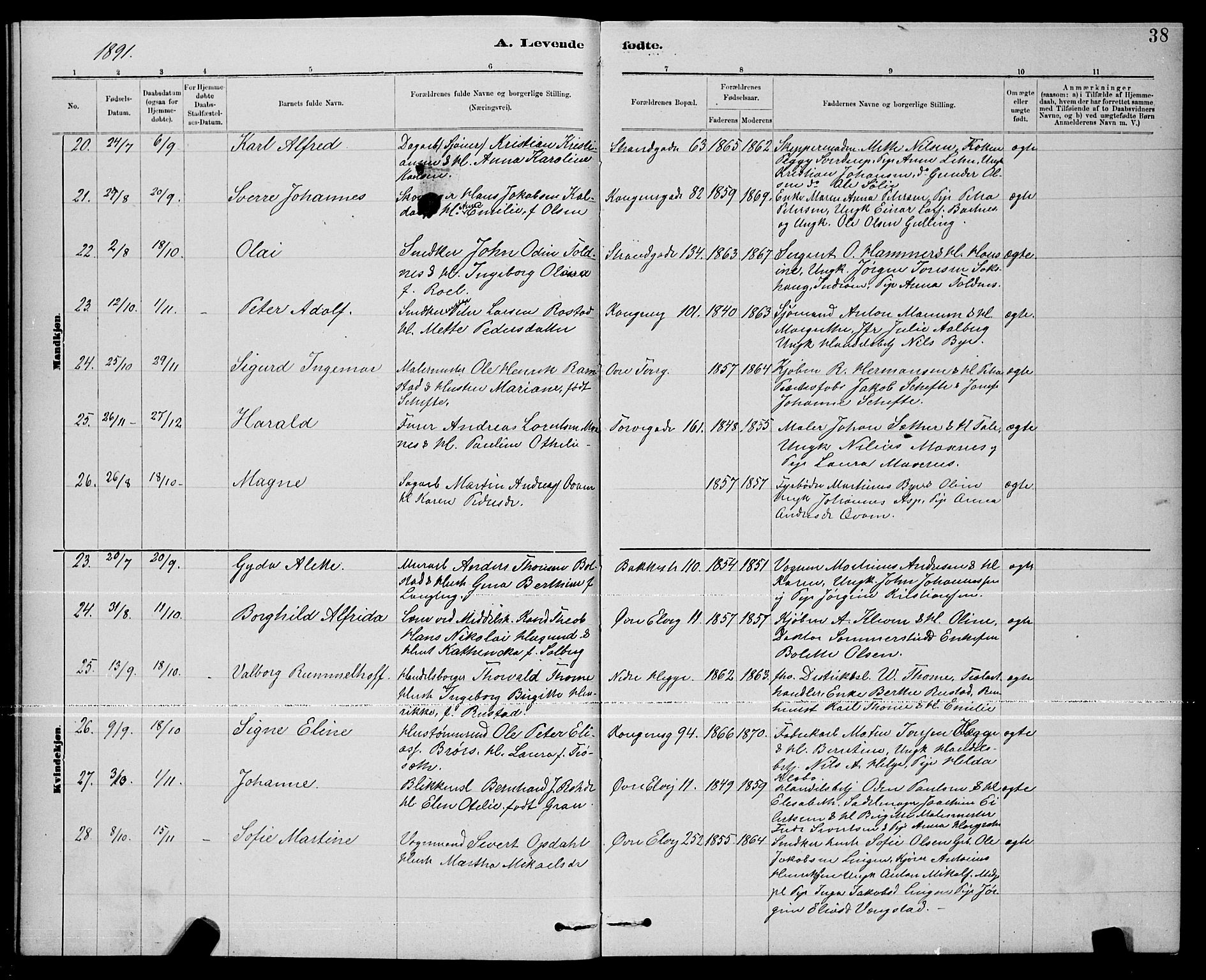 Ministerialprotokoller, klokkerbøker og fødselsregistre - Nord-Trøndelag, AV/SAT-A-1458/739/L0374: Parish register (copy) no. 739C02, 1883-1898, p. 38