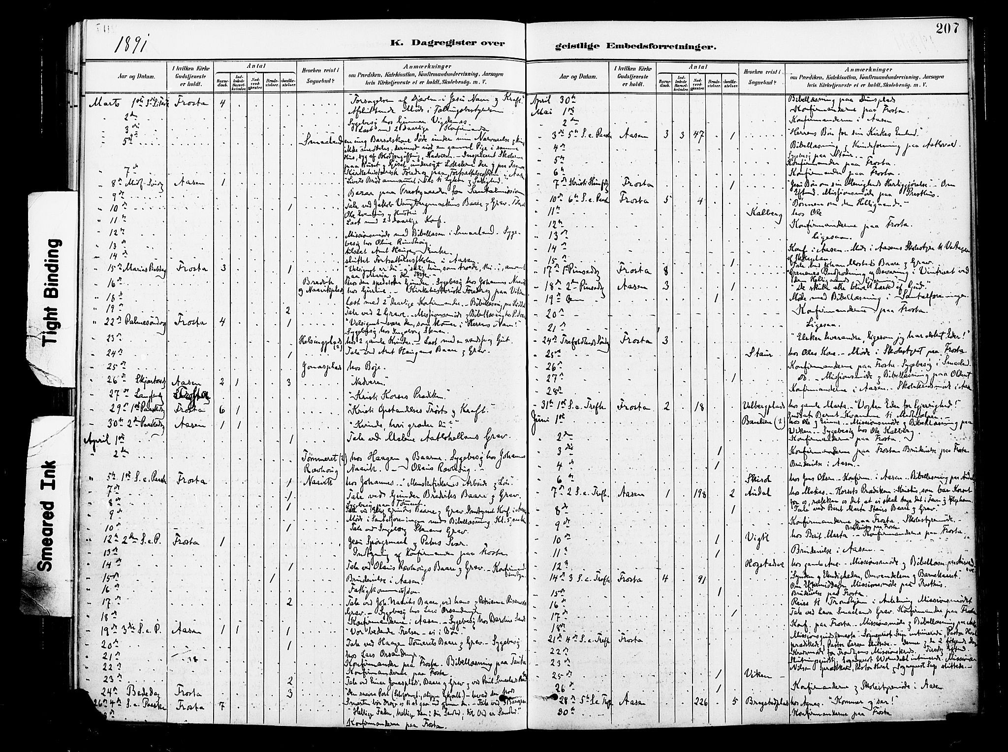 Ministerialprotokoller, klokkerbøker og fødselsregistre - Nord-Trøndelag, AV/SAT-A-1458/713/L0121: Parish register (official) no. 713A10, 1888-1898, p. 207