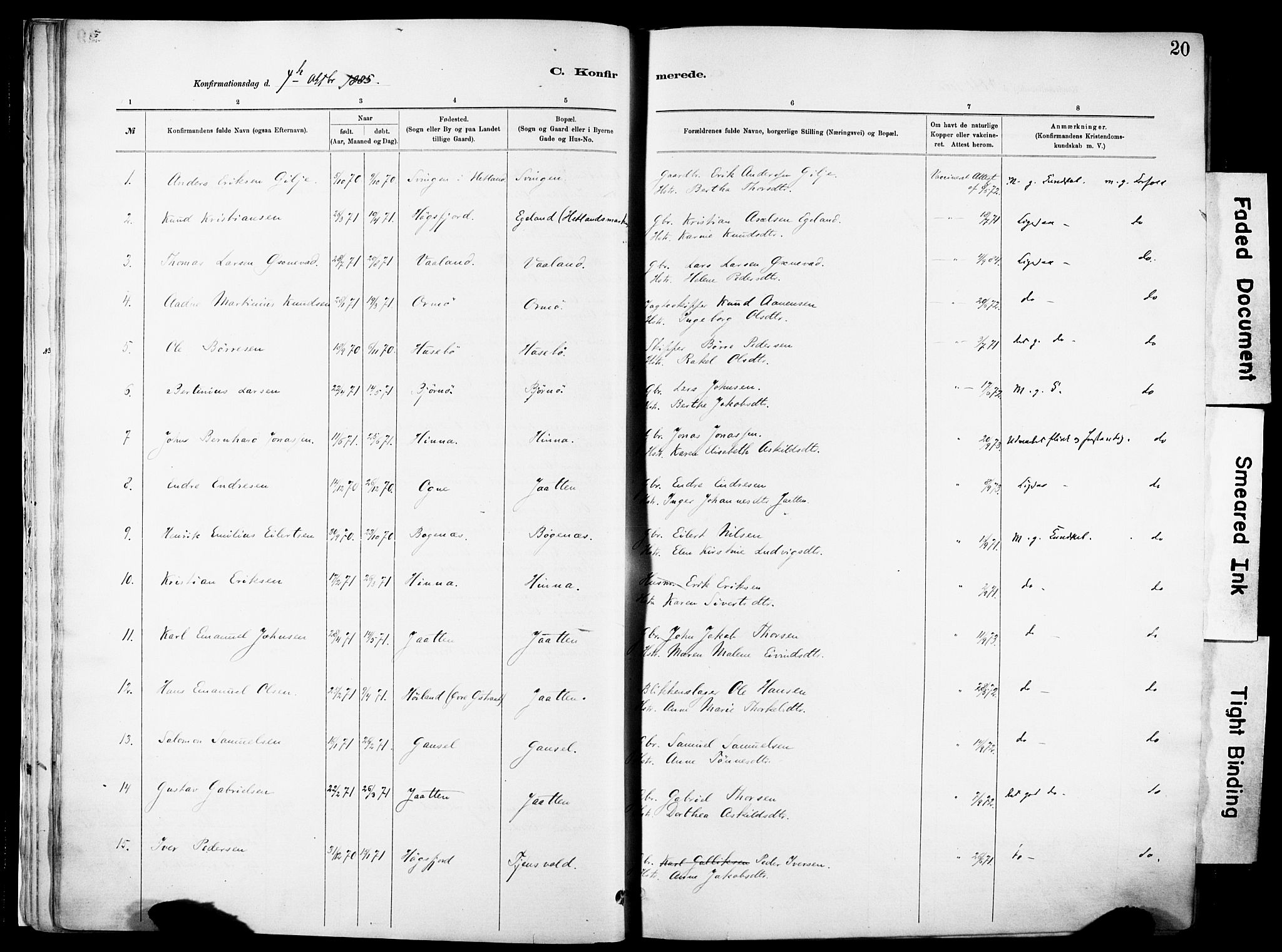 Hetland sokneprestkontor, AV/SAST-A-101826/30/30BA/L0012: Parish register (official) no. A 12, 1882-1912, p. 20