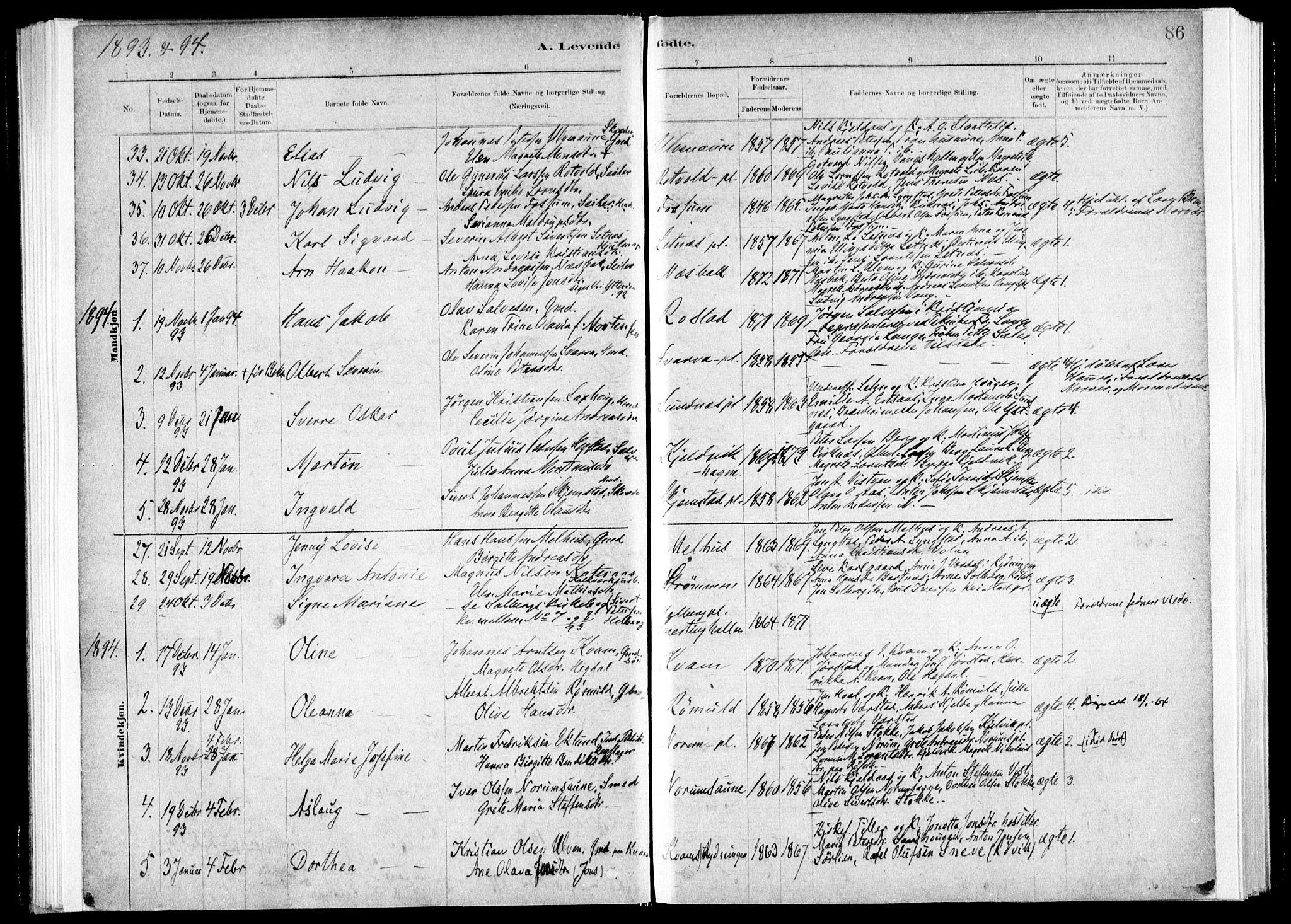 Ministerialprotokoller, klokkerbøker og fødselsregistre - Nord-Trøndelag, AV/SAT-A-1458/730/L0285: Parish register (official) no. 730A10, 1879-1914, p. 86