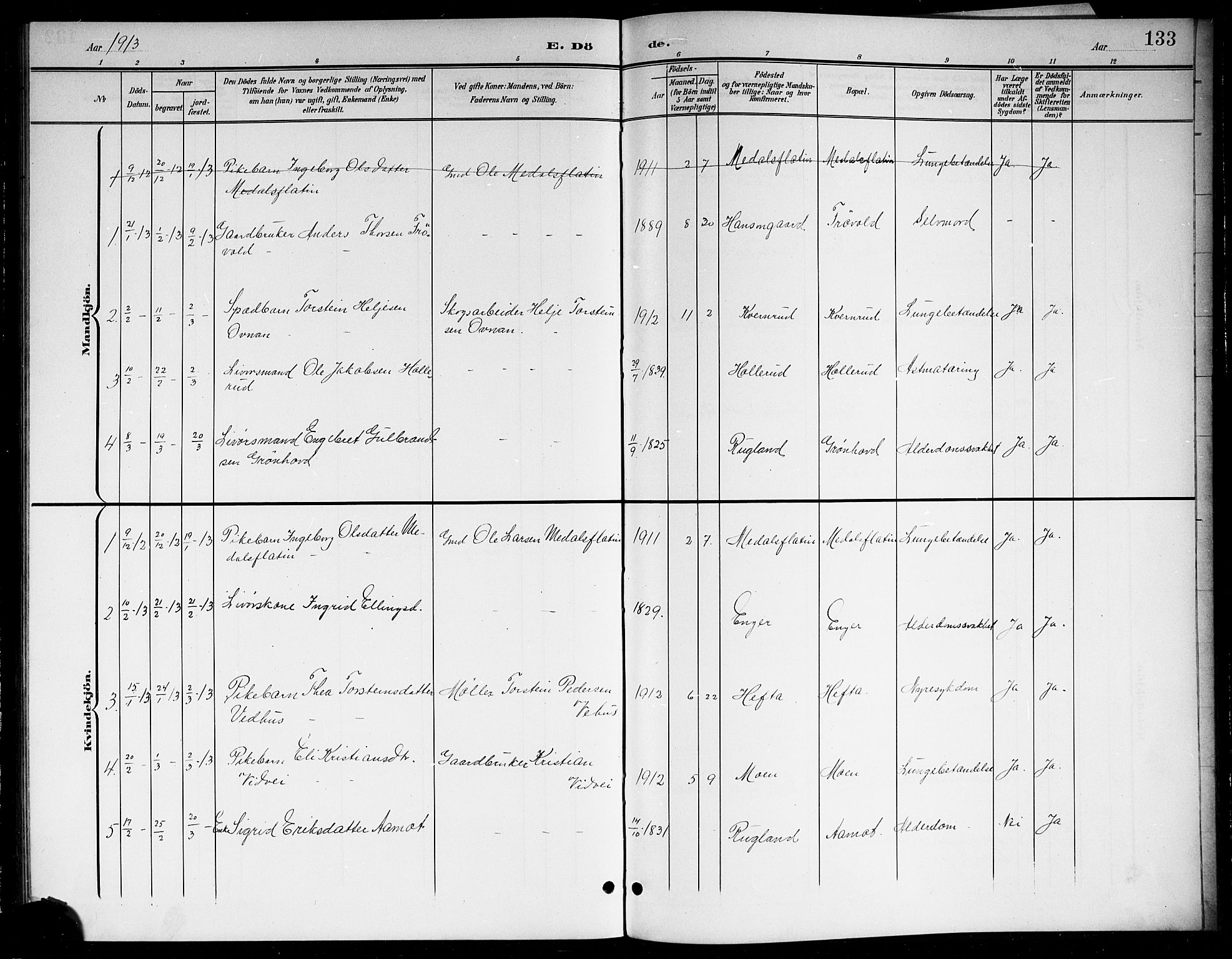 Sigdal kirkebøker, SAKO/A-245/G/Gb/L0003: Parish register (copy) no. II 3, 1901-1916, p. 133