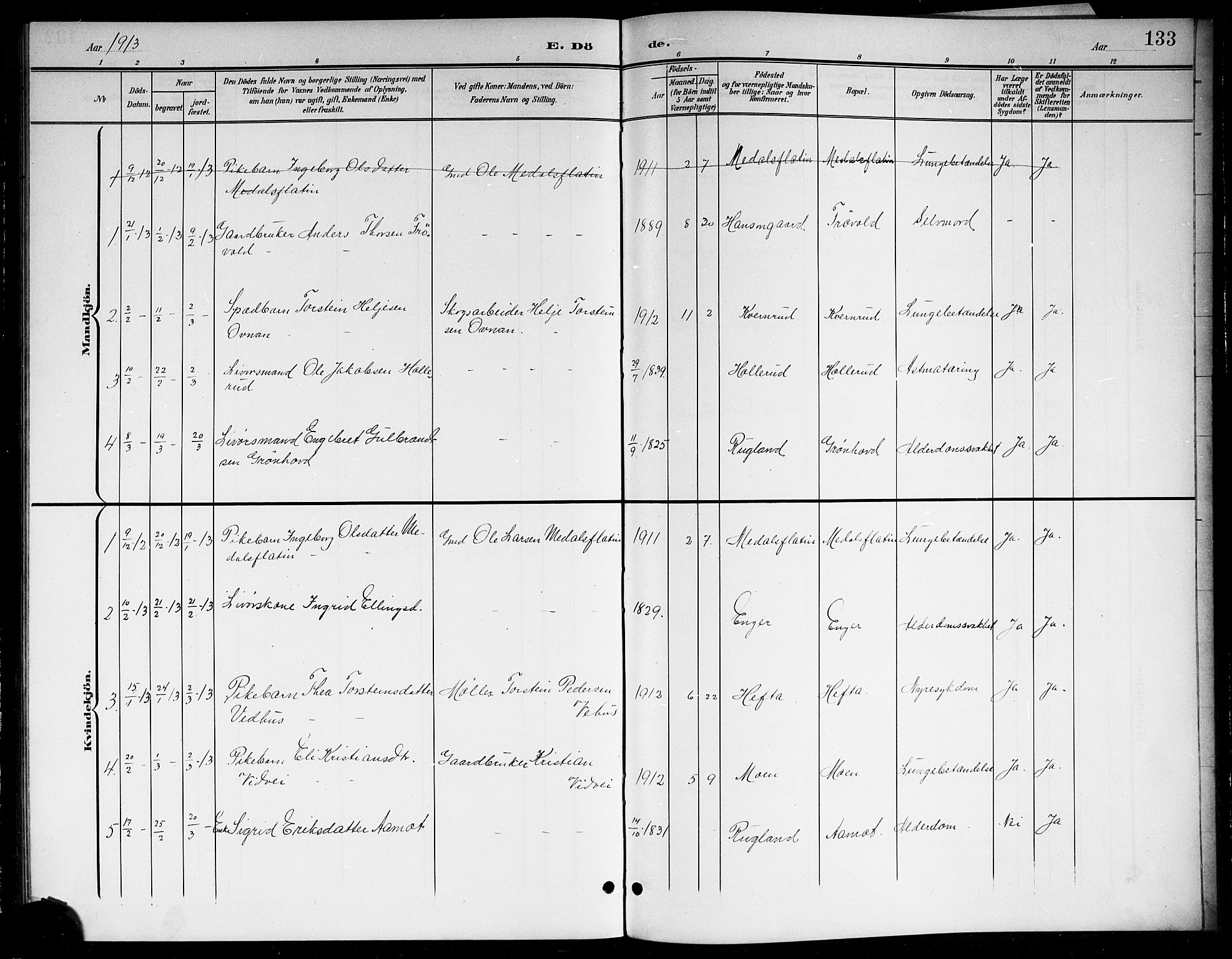 Sigdal kirkebøker, AV/SAKO-A-245/G/Gb/L0003: Parish register (copy) no. II 3, 1901-1916, p. 133
