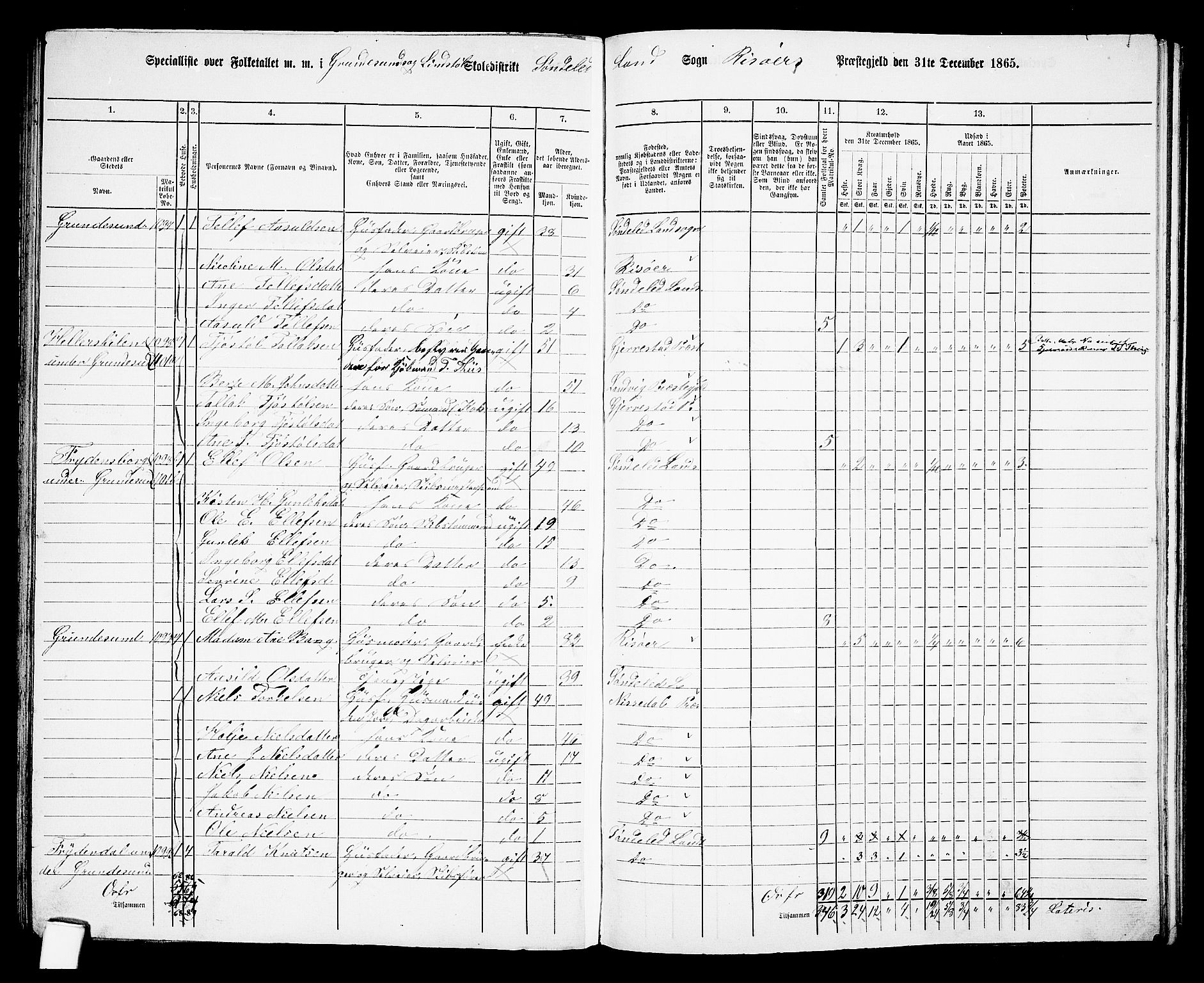 RA, 1865 census for Risør/Søndeled, 1865, p. 113