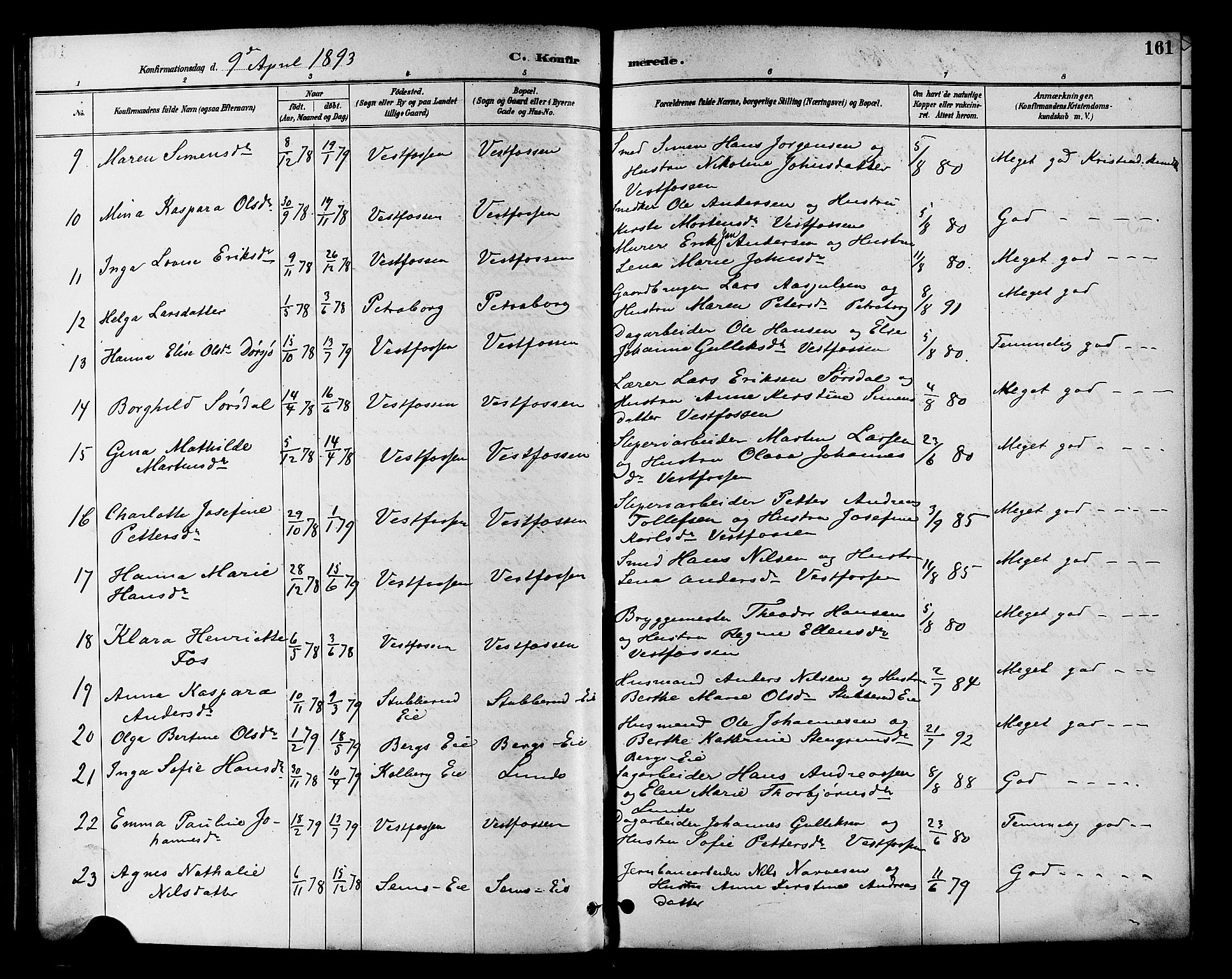 Eiker kirkebøker, AV/SAKO-A-4/F/Fb/L0002: Parish register (official) no. II 2, 1889-1896, p. 161