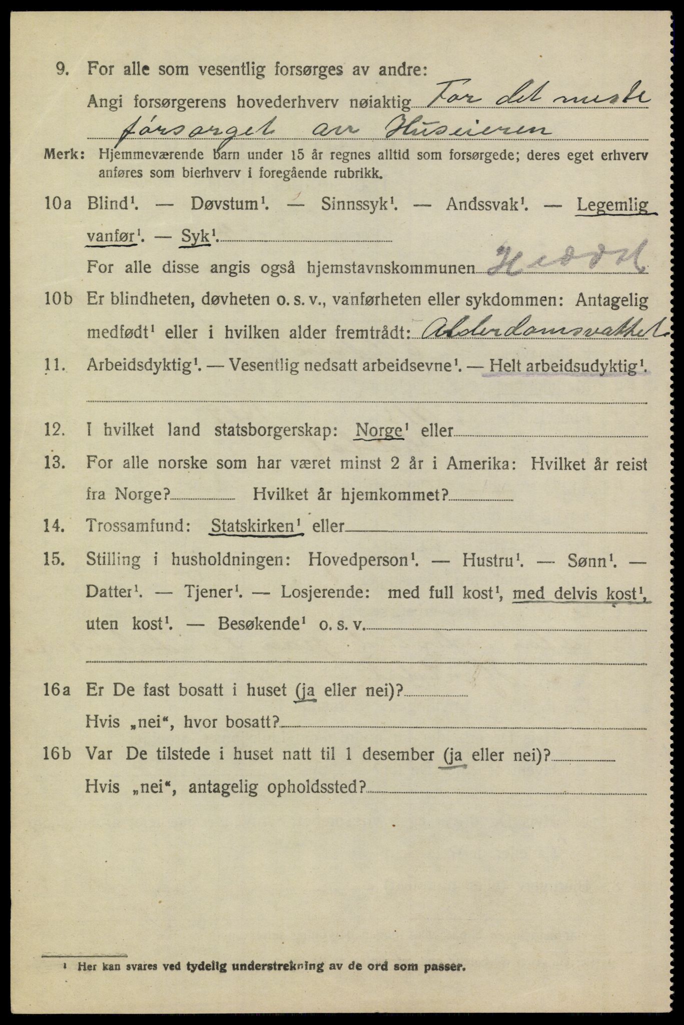 SAKO, 1920 census for Heddal, 1920, p. 3653