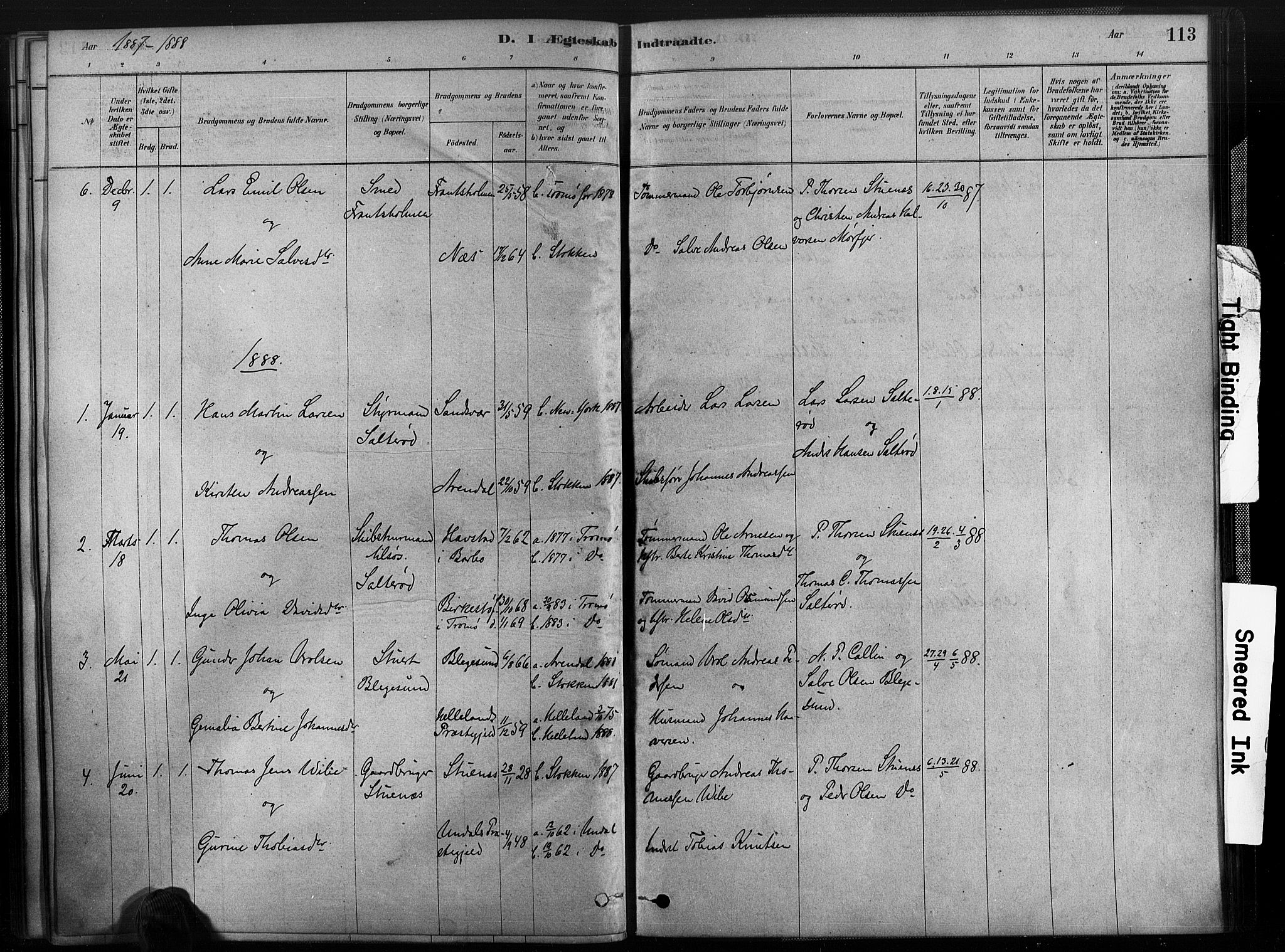 Austre Moland sokneprestkontor, SAK/1111-0001/F/Fa/Fab/L0001: Parish register (official) no. A 1, 1878-1898, p. 113