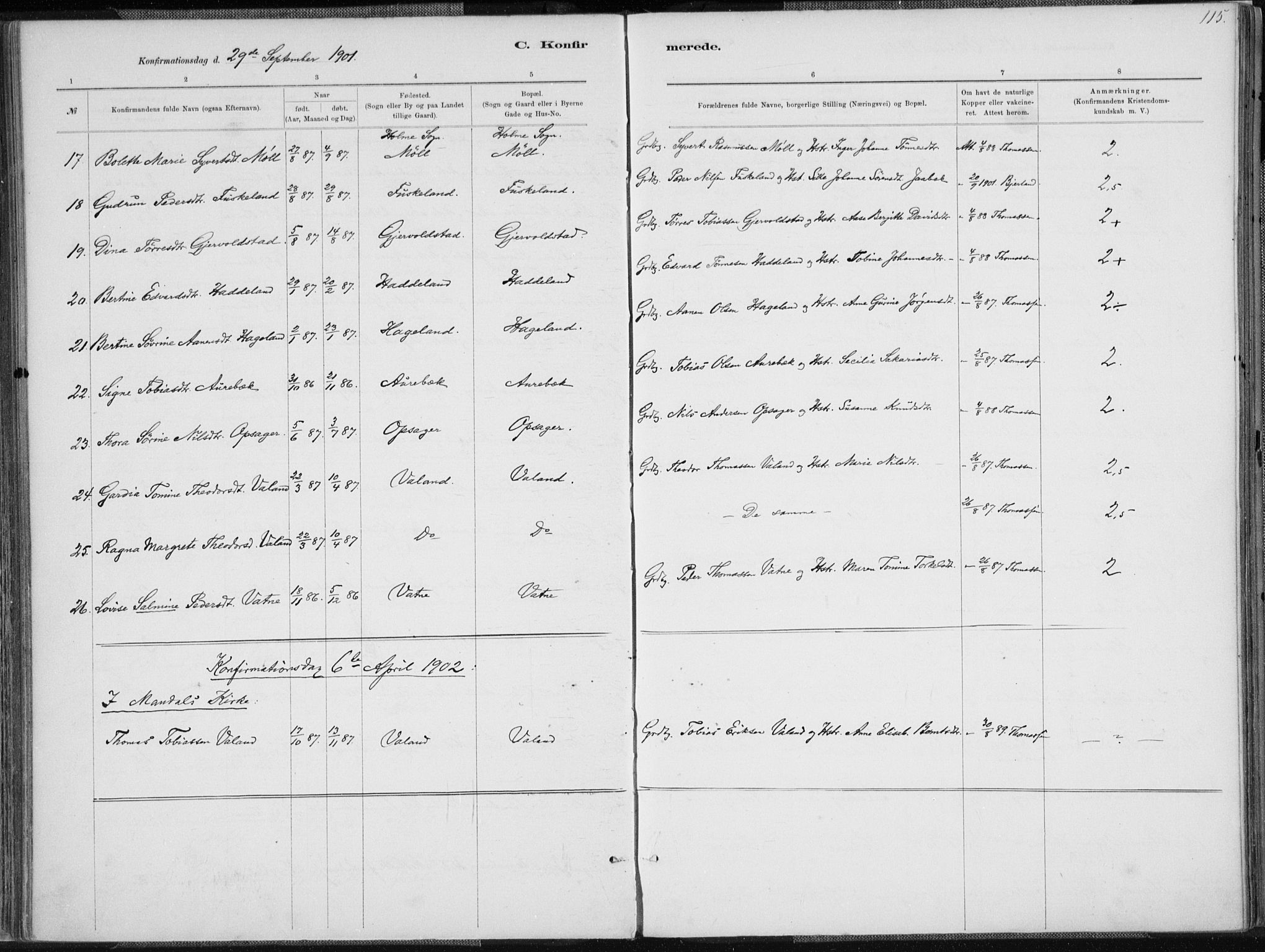 Holum sokneprestkontor, SAK/1111-0022/F/Fa/Faa/L0007: Parish register (official) no. A 7, 1884-1907, p. 115