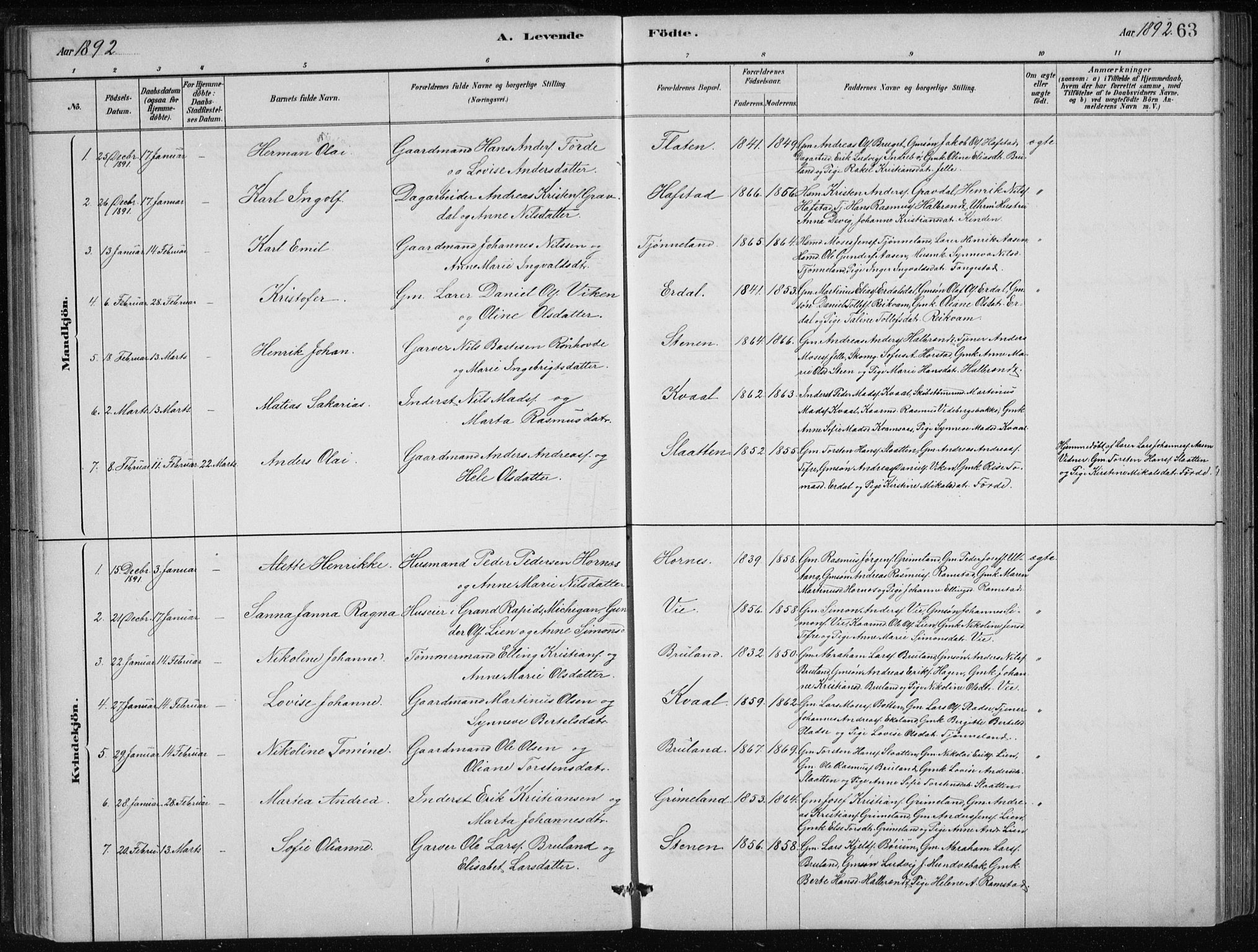 Førde sokneprestembete, SAB/A-79901/H/Hab/Haba/L0002: Parish register (copy) no. A 2, 1881-1898, p. 63
