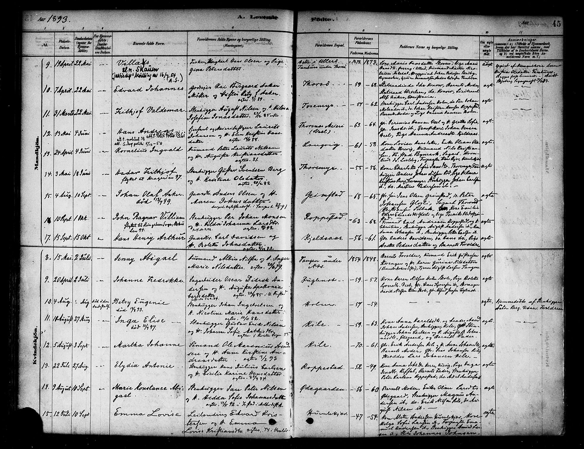 Borge prestekontor Kirkebøker, SAO/A-10903/F/Fb/L0003: Parish register (official) no. II 3, 1878-1902, p. 45