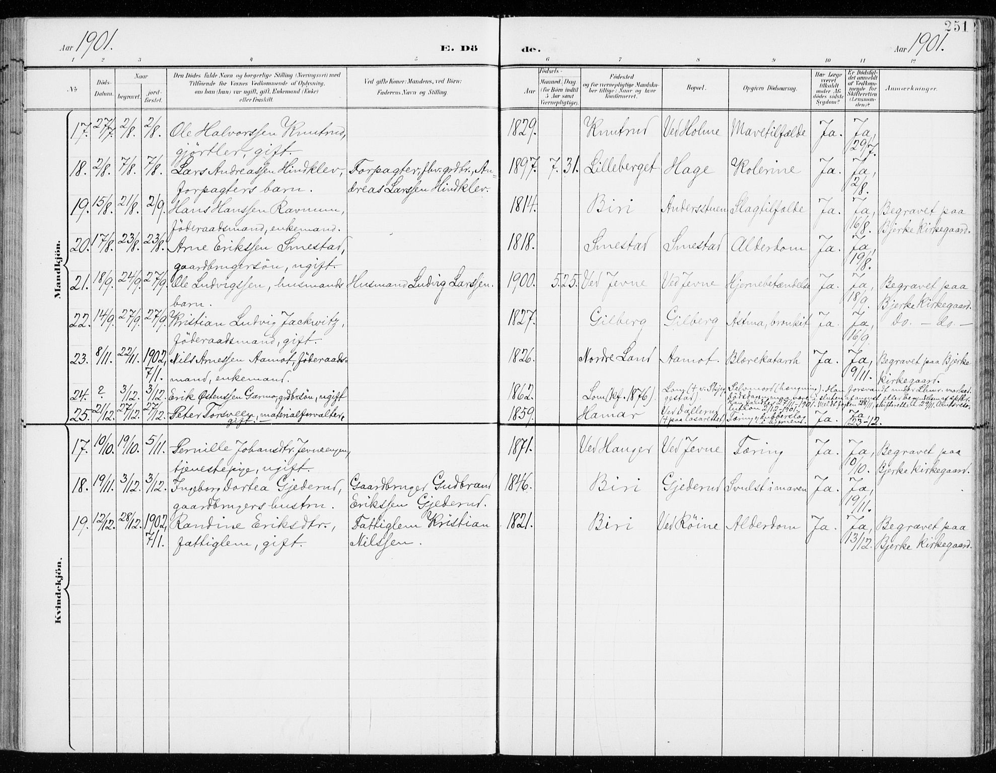 Fåberg prestekontor, SAH/PREST-086/H/Ha/Haa/L0011: Parish register (official) no. 11, 1899-1913, p. 251