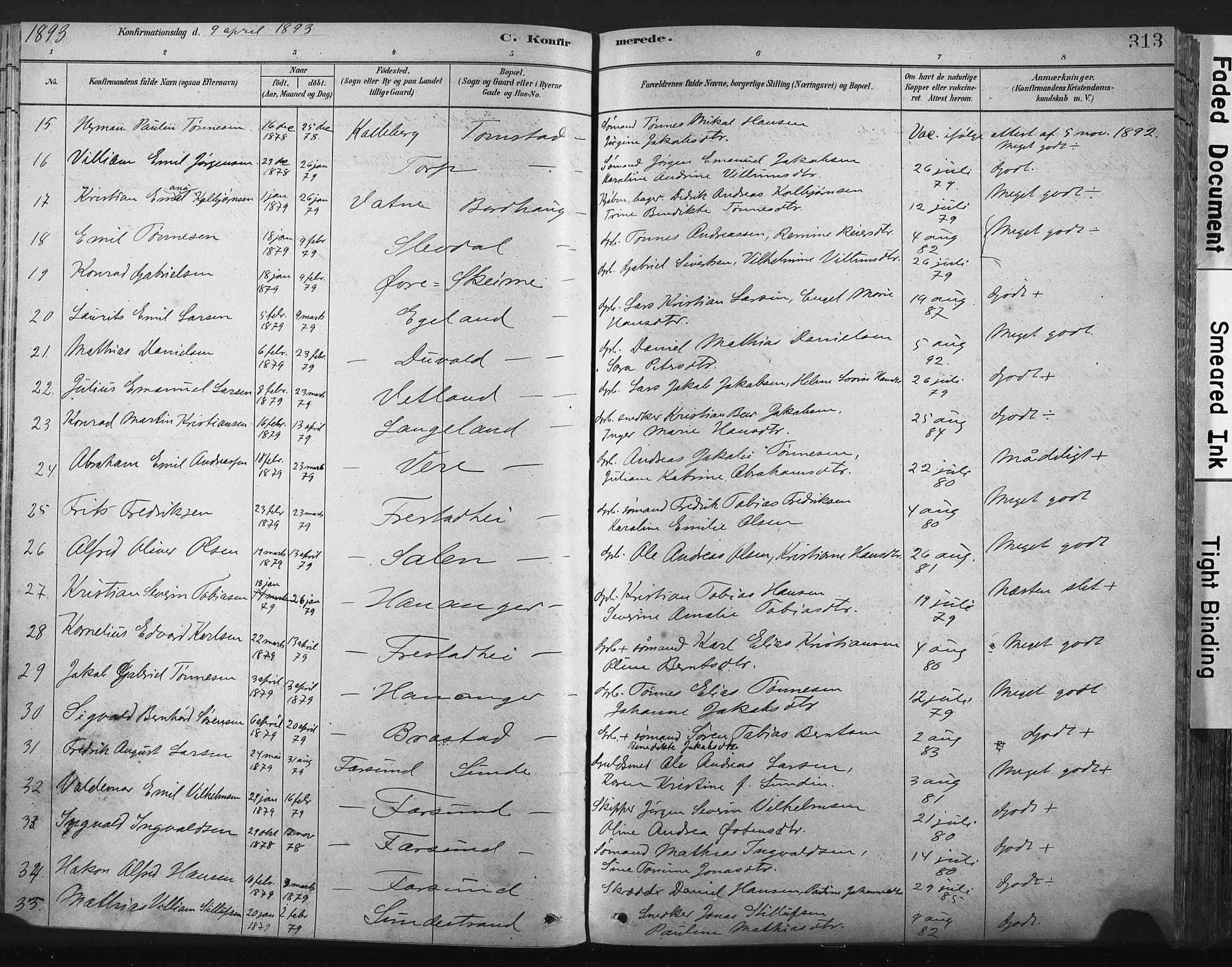 Lista sokneprestkontor, AV/SAK-1111-0027/F/Fa/L0012: Parish register (official) no. A 12, 1879-1903, p. 313