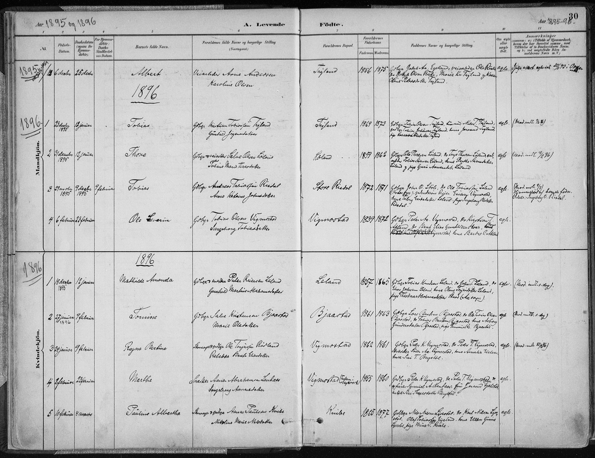 Nord-Audnedal sokneprestkontor, AV/SAK-1111-0032/F/Fa/Fab/L0003: Parish register (official) no. A 3, 1882-1900, p. 30